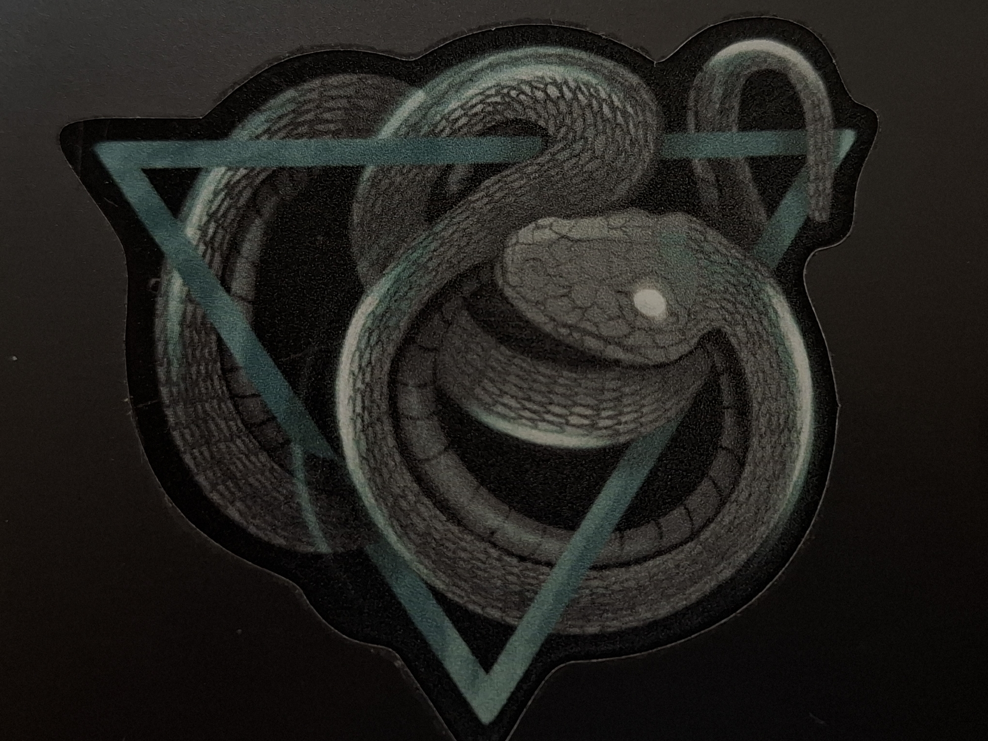 The image shows a sticker or decal featuring a coiled snake within a teal triangle on a black background. The snake is dark gray with a pattern of scales, and a single white eye is visible. The background appears to be a matte black surface. There is no indication of location in Novi Sad, Serbia, or any other city. The image does not depict any people or actions.
