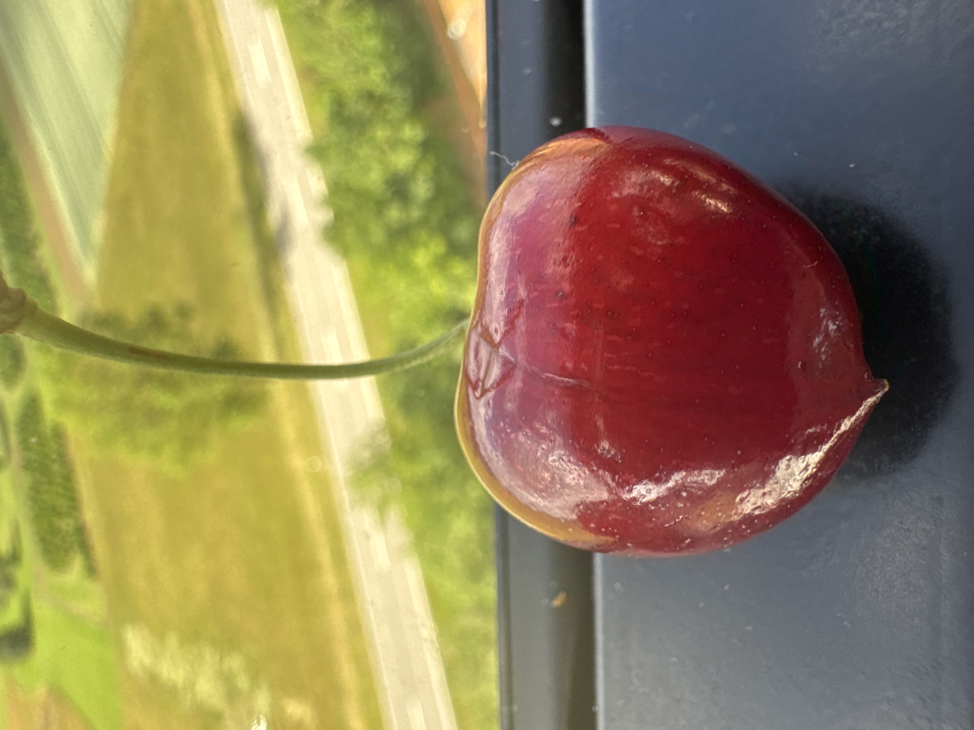 A close-up, eye-level shot features a single, ripe red cherry with a thin green stem extending upwards and out of frame. The cherry is plump and glistening, with visible water droplets and a subtle cleft dividing its surface. It rests on a dark, textured surface, possibly a windowsill or ledge, with a blurred background suggesting an outdoor environment. The background depicts a landscape of green fields and trees, with a road visible in the mid-ground, and hints of agricultural patterns. The overall lighting indicates daytime, possibly late afternoon, given the warm tones. The location is identified as Strümpfelbrunn, Germany. There are no people or animals present.