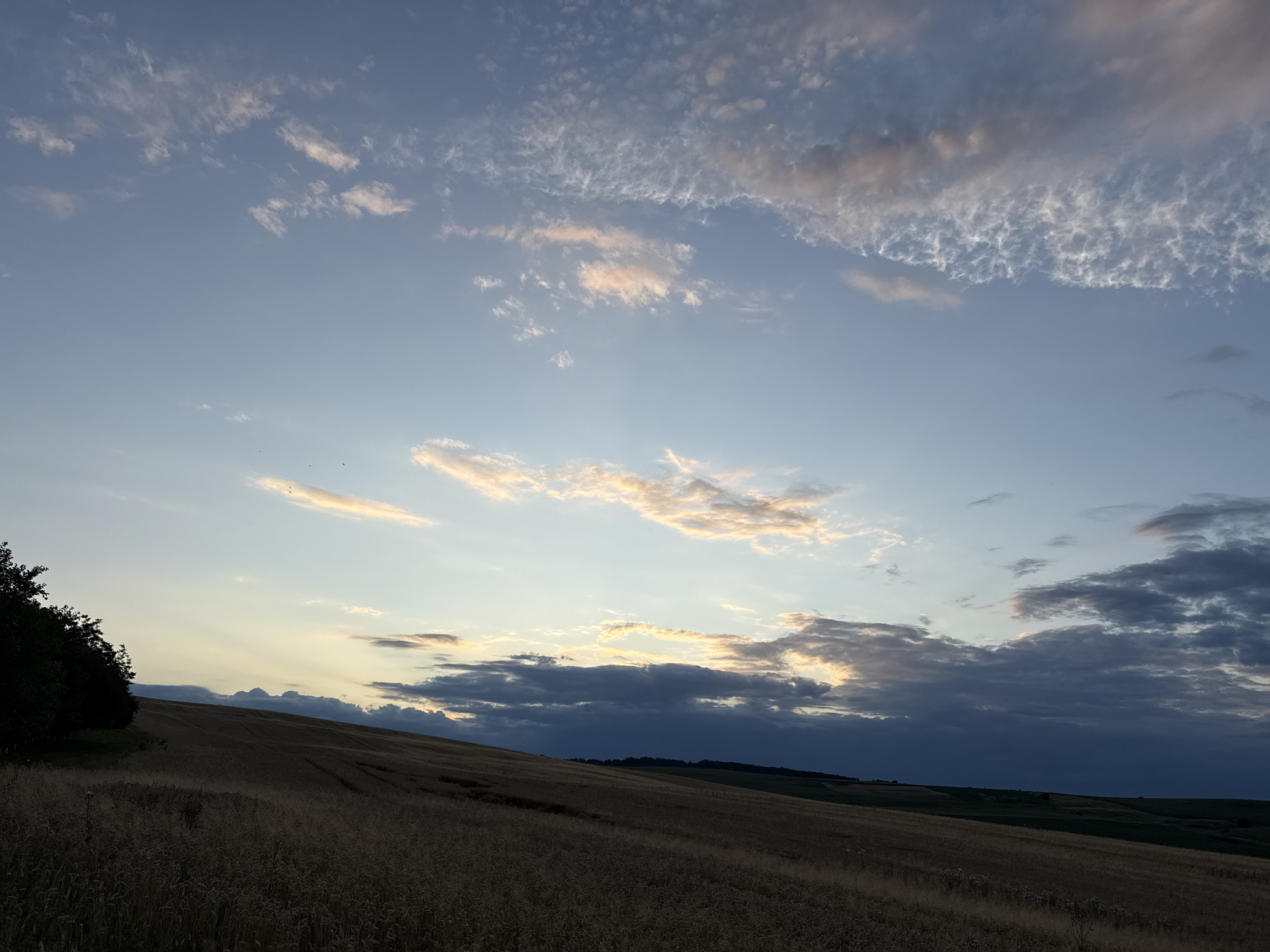 The image depicts a rural landscape at dusk. A vast field, appearing to be harvested wheat or barley, dominates the foreground, sloping upwards towards the horizon. To the left, a dense line of dark trees borders the field. The sky is a gradient of soft blues and grays, with scattered clouds catching the fading sunlight in hues of pink and orange. The horizon line is marked by rolling hills and more distant, darker clouds. There are no people or man-made structures clearly visible. The overall impression is one of tranquility and the end of a day in the countryside. The location is identified as Unknown, Unknown.