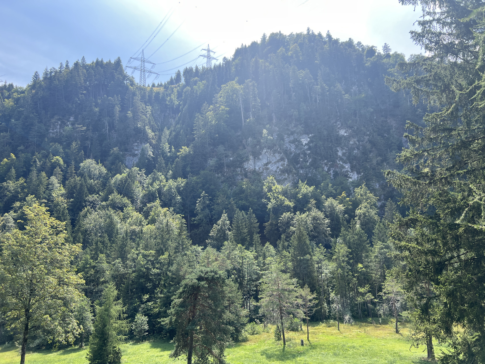 The image captures a sunlit, mountainous landscape with dense evergreen forests covering steep slopes. In the upper portion of the image, power lines and pylons are visible against a bright sky, indicating human infrastructure in a natural setting. The foreground features a grassy meadow interspersed with several trees, including a large evergreen on the right. The overall scene suggests an outdoor environment, possibly a park or hiking area, located in the vicinity of Füssen, Germany, a region known for its scenic beauty and proximity to the Alps. There are no people or animals visible in the image. The lighting suggests it is daytime, with the sun casting shadows and creating highlights on the foliage. The rock face of the mountain is partially exposed in some areas, revealing its rugged texture.