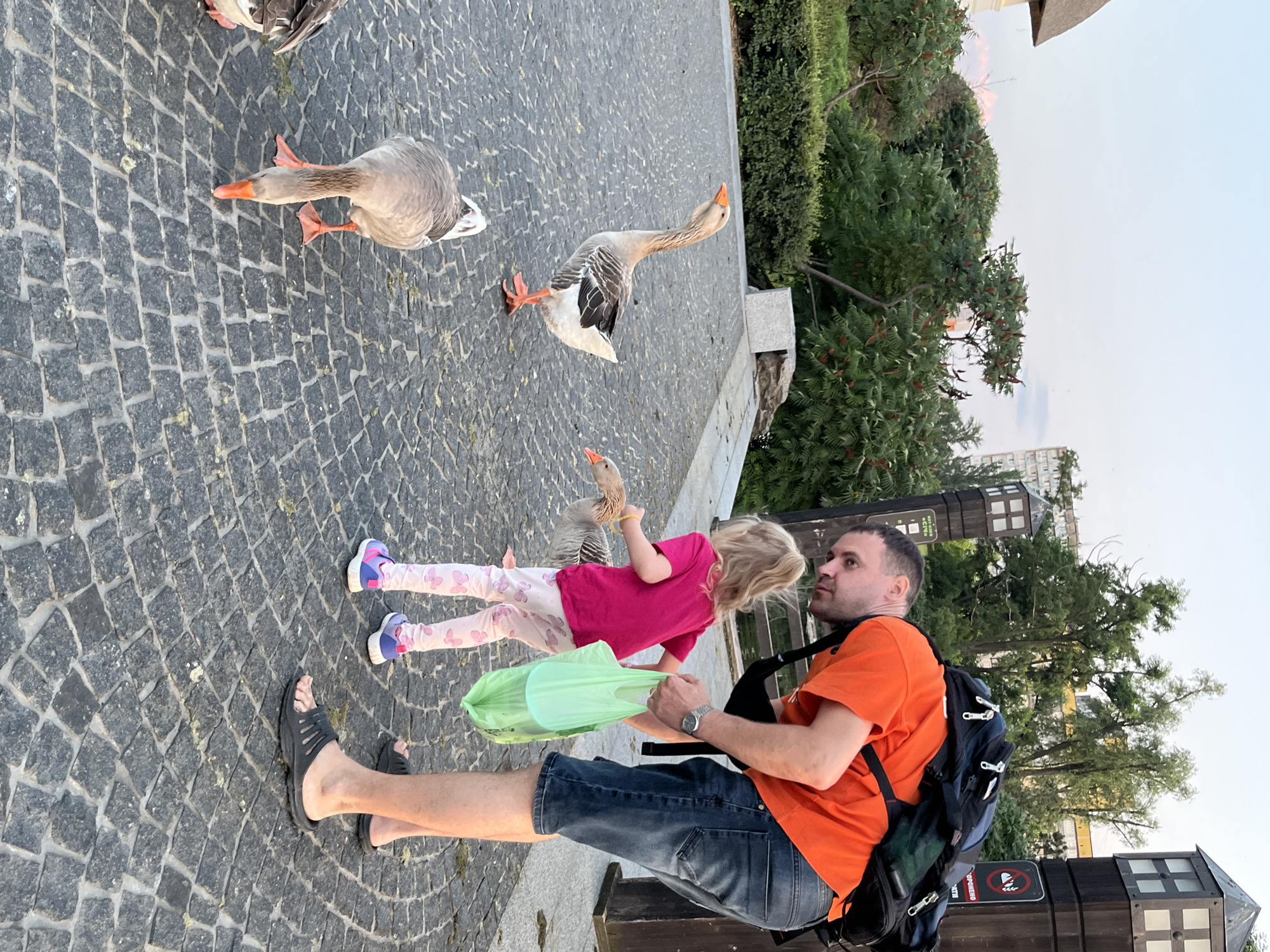 The image depicts a father and his young daughter interacting with geese on a cobblestone path in a park in Dnipro, Ukraine. The man, wearing an orange t-shirt, jeans, and a backpack, is bending down, holding a green plastic bag, possibly offering food to the geese. The girl, in a pink shirt and patterned leggings, is also reaching towards a goose. Several geese are present on the path, with their heads lowered, likely interested in the food. The environment is a park with green trees and bushes in the background, and a cloudy sky above. The scene captures a moment of family interaction with nature in an urban park setting.