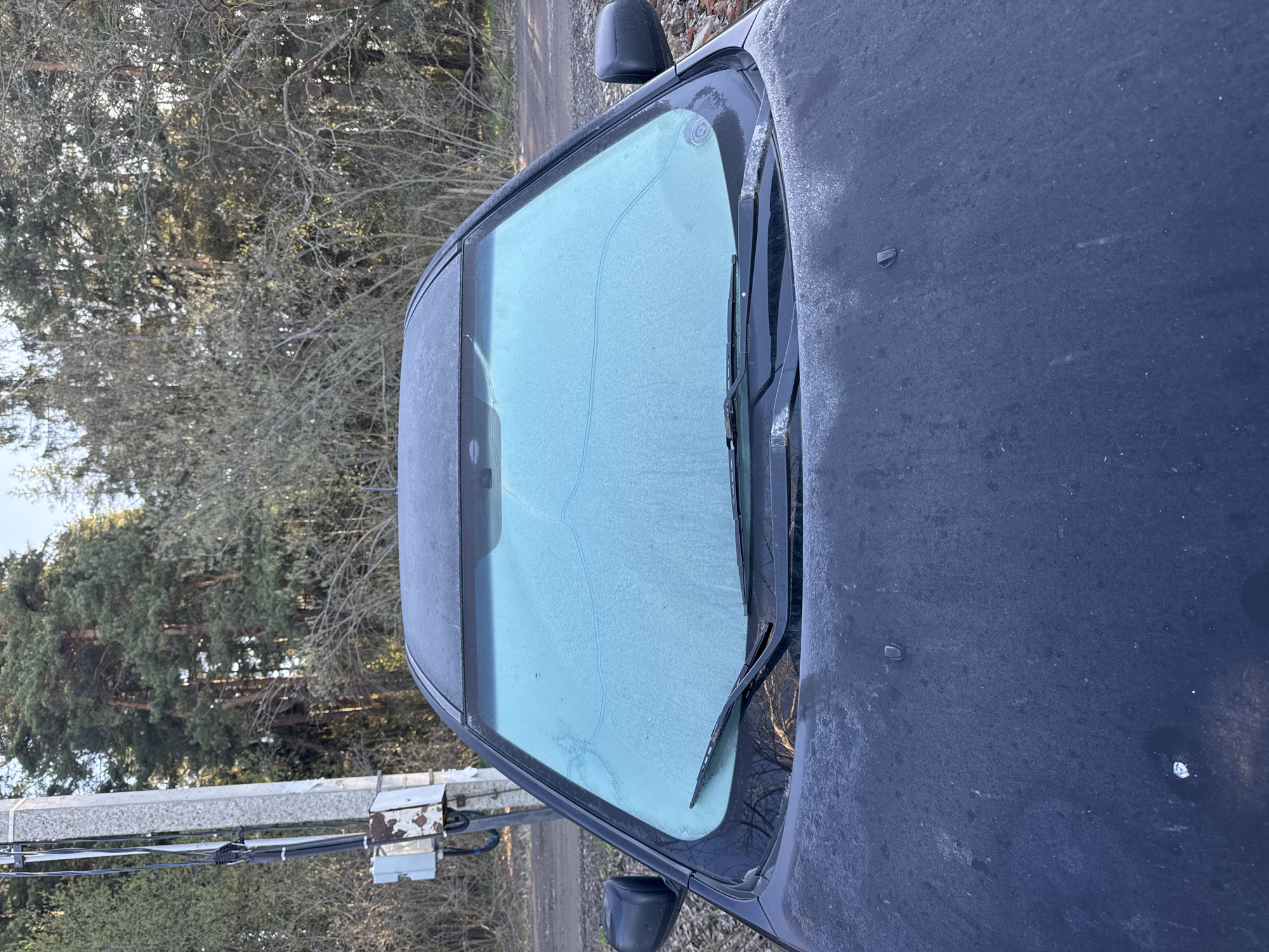 The image shows a close-up view of the frost-covered windshield and hood of a dark-colored vehicle, likely parked outdoors. The windshield wipers are visible, positioned on the frosted glass. The environment includes bare trees, indicating a cold or winter season. There is also what seems to be a utility pole and overhead wires visible on the left side of the frame. The image has an aerial perspective as it seems to be taken from above the car. There is no evidence to support the location of this image being in the city of Раздолье, Russia.