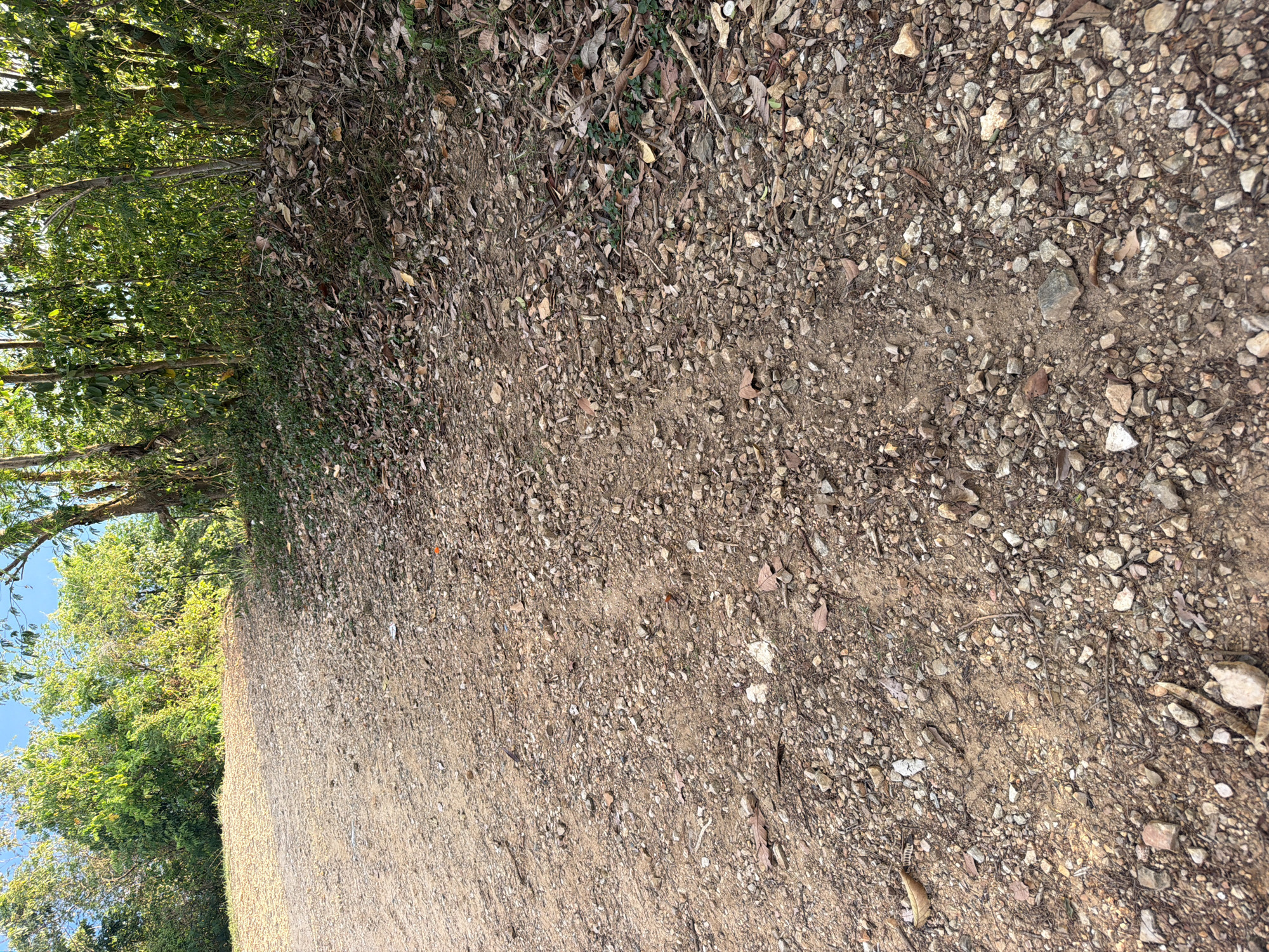 A dirt road, covered in small stones and fallen leaves, slopes upward toward a dense green forest. The sky above is a clear blue. The image appears to be taken in Baan Thong Po, Thailand, likely a rural or natural area. There are no people or animals visible in the scene. The environment is natural and undeveloped.