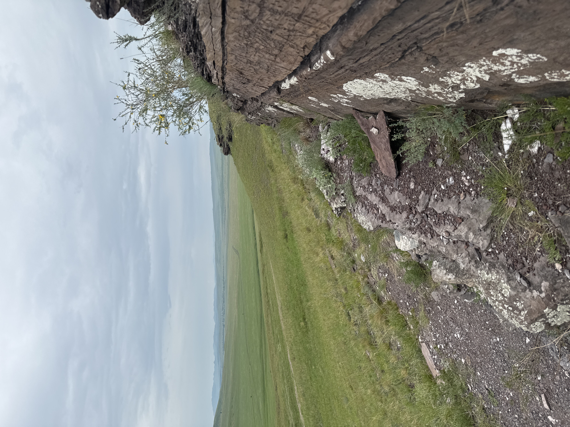 The image depicts a natural landscape with rolling green hills under a cloudy sky. In the foreground, a rough, reddish-brown rock formation juts out, with patches of white lichen growing on its surface. To the left of the rock, a steep, grassy slope descends into a wide valley. The valley is covered in lush green grass, with faint tracks or roads visible in the distance. Further back, a line of low hills can be seen on the horizon, and the sky is filled with soft, gray clouds. A small, sparsely leaved bush with yellow flowers grows on the top of the rock formation. The scene appears to be a remote, natural area, likely a steppe or meadowland. There are no people or animals visible in the image.