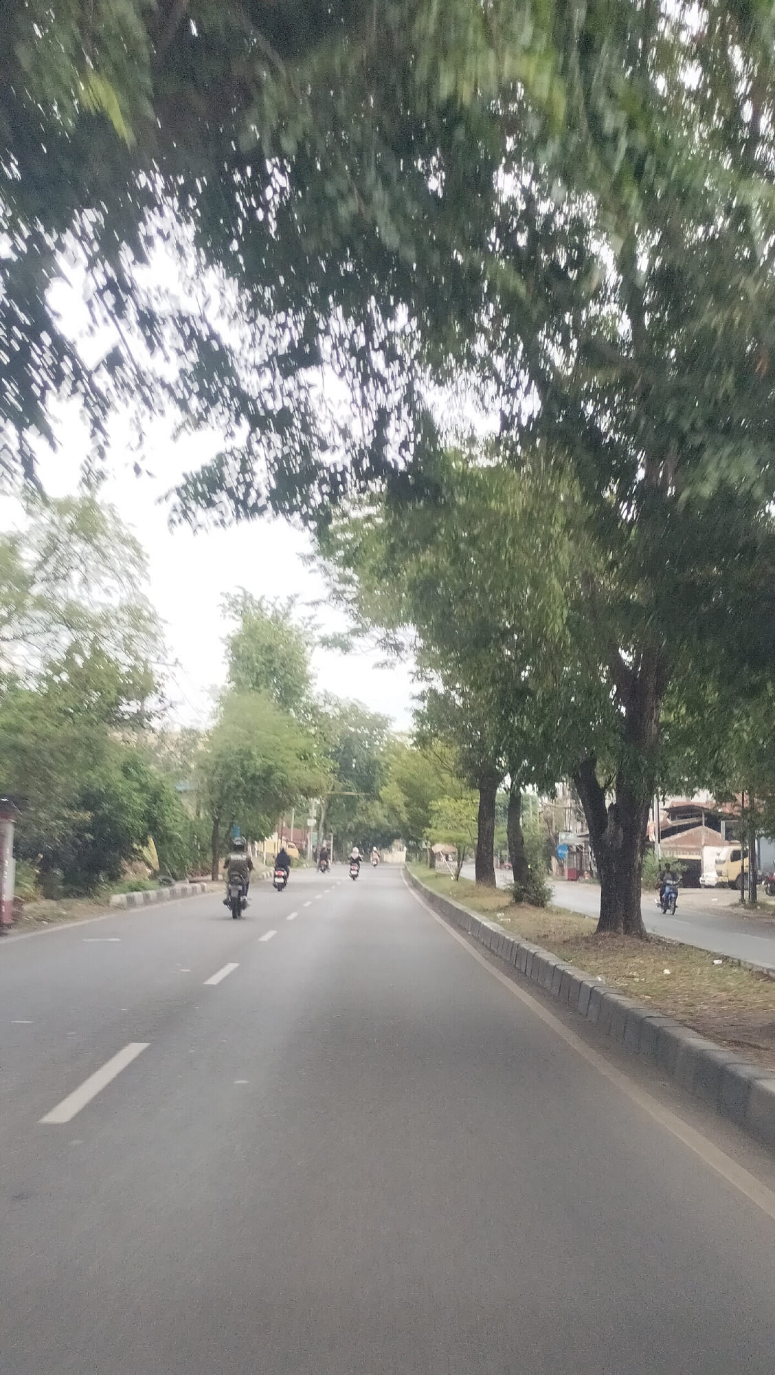 The image depicts a slightly blurred view of a two-lane asphalt road in Santan, Indonesia, with a median strip and sidewalks on both sides. Lush green trees line the road, their branches creating a canopy overhead, with sunlight filtering through the leaves. Several motorcycles are visible on the road, some with riders and some parked. The sky is overcast, suggesting a cloudy day. Buildings and some parked vehicles are visible on the right side of the road. The overall impression is that of a typical street scene in a tropical urban environment.