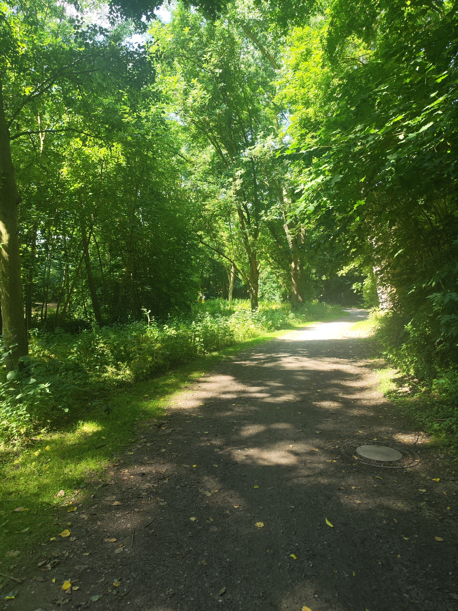 A dirt path winds through a sun-dappled forest. Lush green trees with dense foliage create a canopy overhead, with sunlight filtering through in patches, casting dappled shadows on the path. The path is mostly gravel and dirt, with some scattered fallen leaves. To the left of the path, thick green grass and undergrowth grow, illuminated by the sun. To the right, the path is bordered by dense greenery, with a hint of a stone wall or structure partially visible behind the leaves. Further down the path, it appears to curve and lead into a brighter, sunlit area. A circular metal manhole cover is visible on the right side of the path, partially obscured by shadows. The scene evokes a peaceful, natural setting, likely a park or hiking trail. The lighting suggests it is daytime, possibly late morning or early afternoon, with clear weather. There is no visible text in the image.