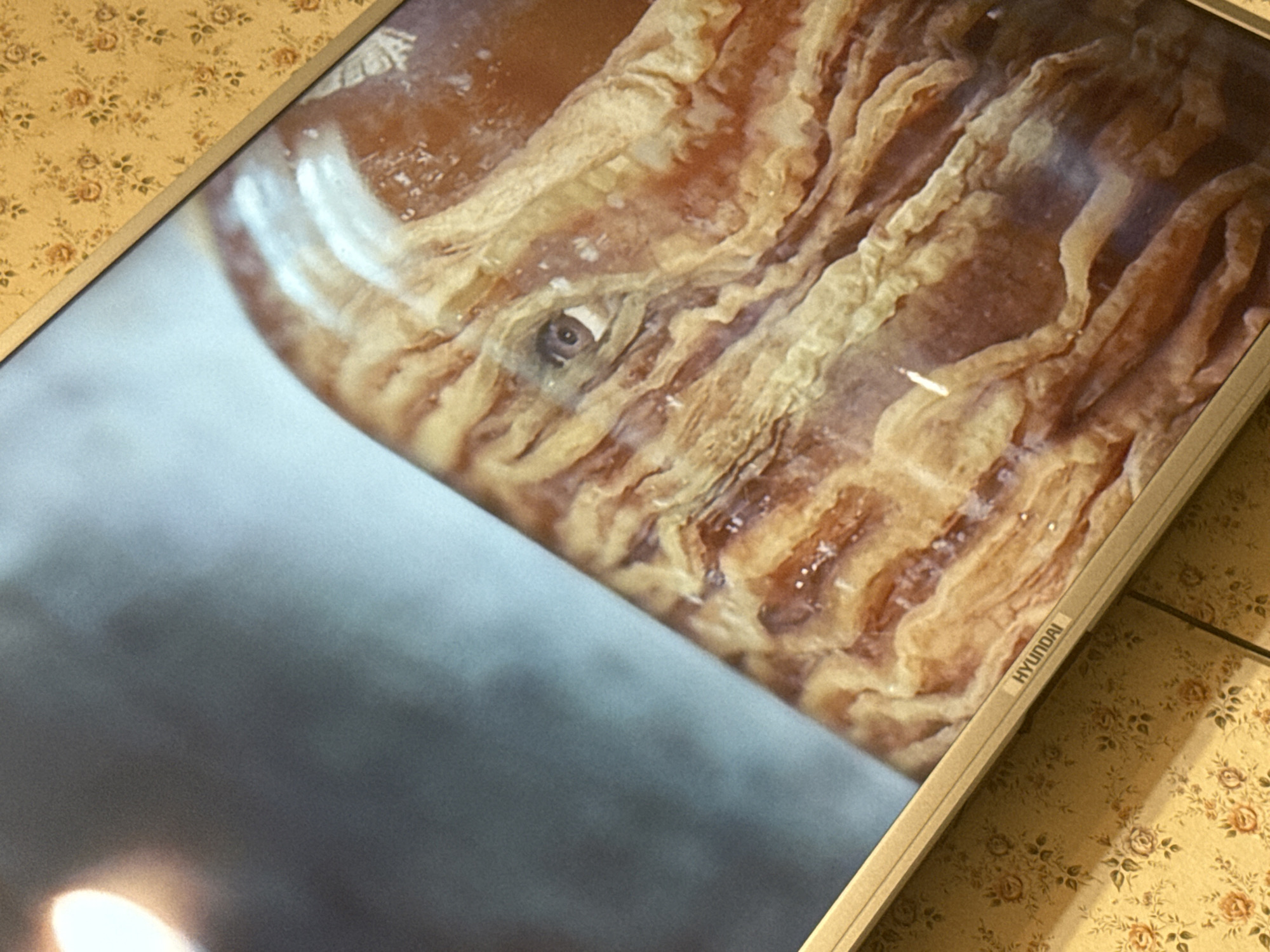 The image shows a close-up of a television screen displaying a brown, organic-looking form, possibly a detailed image of a biological specimen or a creature's skin. The skin appears textured, with ridges and an apparent eye visible in the center. The lower left portion of the screen displays a blurred gray area with a bright spot of light. The television itself is a Hyundai brand. The surrounding environment includes a surface covered with a patterned wallpaper in a yellow hue. The picture does not allow to confirm the location in the city of Mytishchi, Russia.