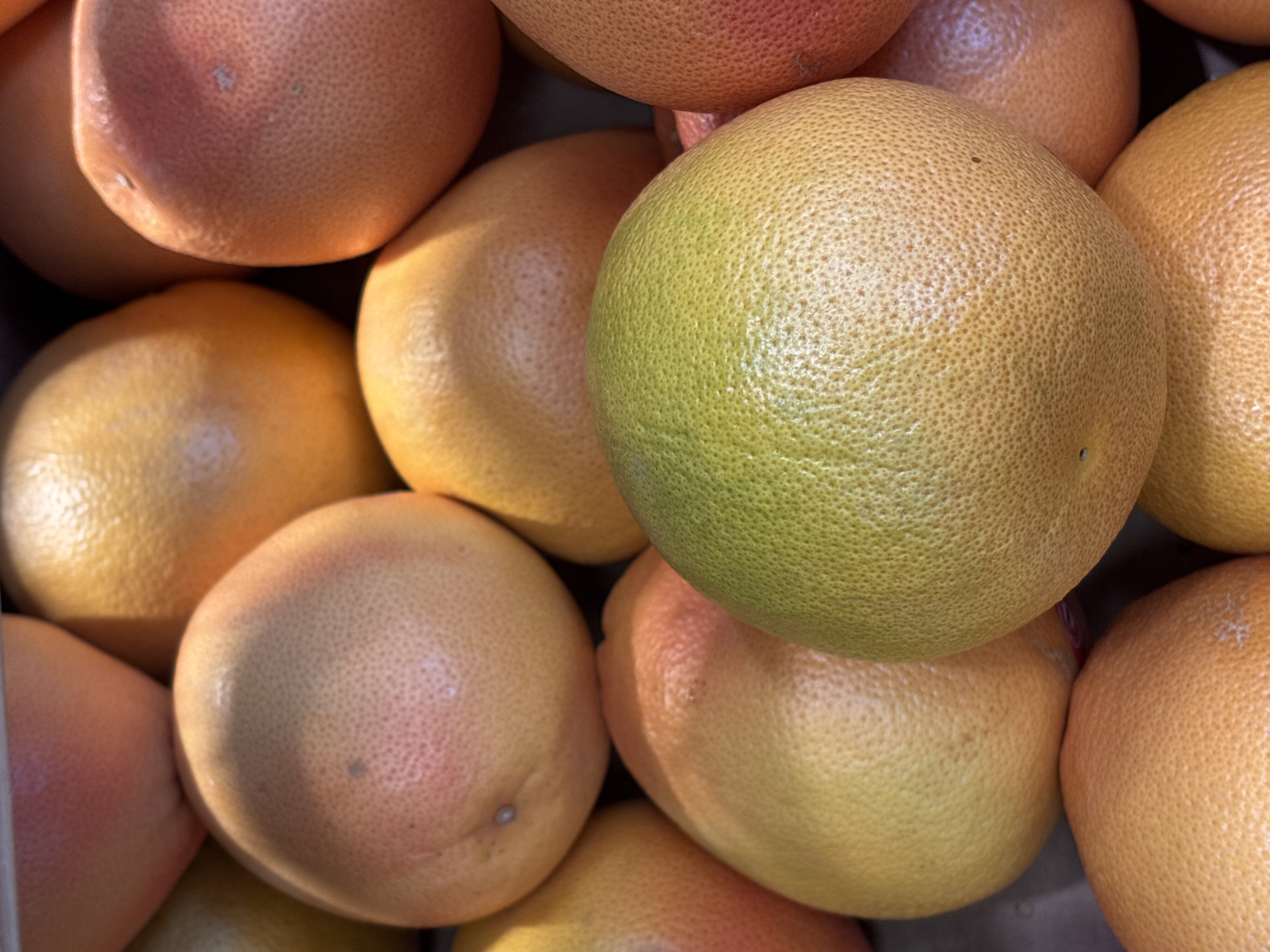 The image is a close-up, overhead shot of a pile of grapefruits. The grapefruits are mostly round and have textured rinds. Some are a pale yellow-green, while others are a more typical pinkish-orange. The lighting suggests it is daytime, possibly indoors with artificial lighting, as there are strong highlights on the fruit. The arrangement of the grapefruits indicates they are likely in a crate or container, perhaps at a market or in a kitchen. There are no people visible in the image, and the focus is entirely on the produce. The texture of the grapefruit rinds is a prominent detail, with small pores visible across the surface of each fruit. The overall impression is one of abundance and freshness.