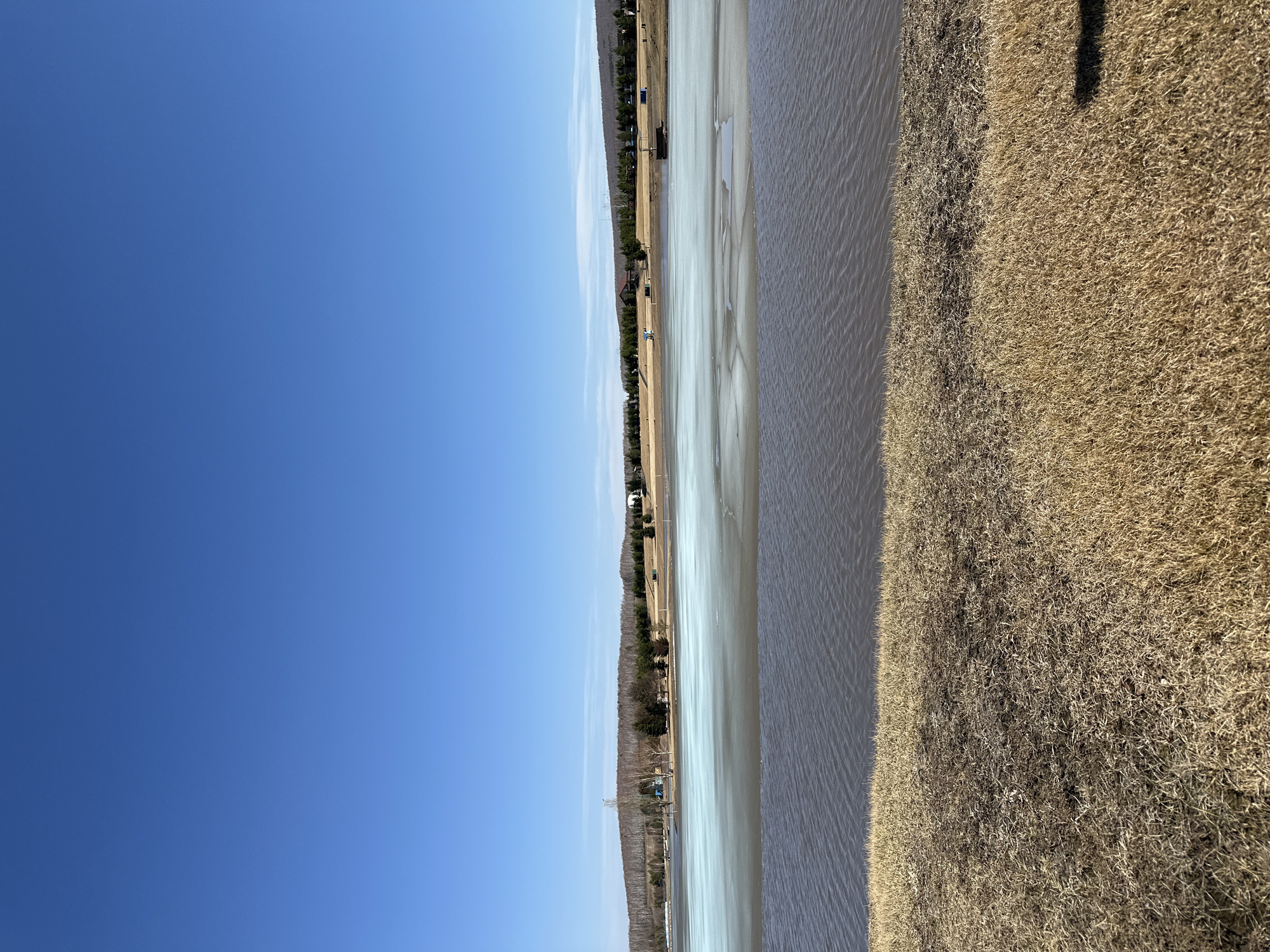 This media file captures a wide outdoor landscape scene, possibly a lake or large river, under a clear blue sky.
The upper portion of the image is dominated by a vast, unblemished blue sky, suggesting bright, clear weather conditions. A few very faint, wispy clouds are discernible on the horizon line.
Below the sky lies a substantial body of water, which appears to be partially frozen or covered with thin sheets of ice, displaying distinct crack patterns on its surface. The water itself is a murky, greyish-brown color, reflecting little of the sky.
Across this water body, in the middle distance, is a low-lying shoreline. This bank is covered with light brown, dormant vegetation, likely dry grass or brush, punctuated by a long line of dark green conifer trees. Scattered along the shoreline are several small structures, including what appears to be a small dock or platform extending into the water. indistinct forms, possibly vehicles or boats, can be seen near the far shore. Some tall, slender poles or structures also stand in the distance.
The immediate foreground, to the right, features a dense expanse of dry, straw-colored grass or scrub. Its texture is coarse and uneven, indicating a cold season like late winter or early spring. A dark, elongated shadow is cast across this grassy area, possibly from the photographer or an unseen object.
The scene depicts a peaceful, unpopulated landscape. There are no individuals or specific activities visible. The clear sky and visible shadows suggest it is daytime, either morning or afternoon. Given the location context of Emel'yanovo, Russia, this is likely a natural body of water in a rural or semi-rural setting. No visible text is present in the image.