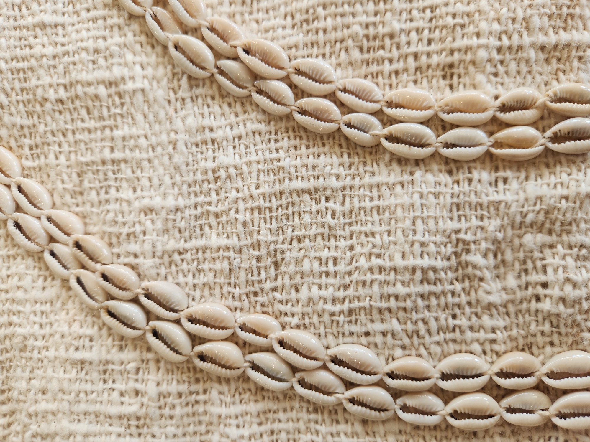 This is a close-up, top-down, eye-level shot of two strands of small, cream-colored cowrie shells strung together on a light-colored, textured fabric background. The fabric appears to be woven with visible threads. The shells are arranged vertically in two parallel lines, with a gap between them. The lighting is soft and even, creating a gentle shadow on the fabric. There are no people or animals in the image. There is no information to suggest the location is in the city of Maitland, United States of America.
