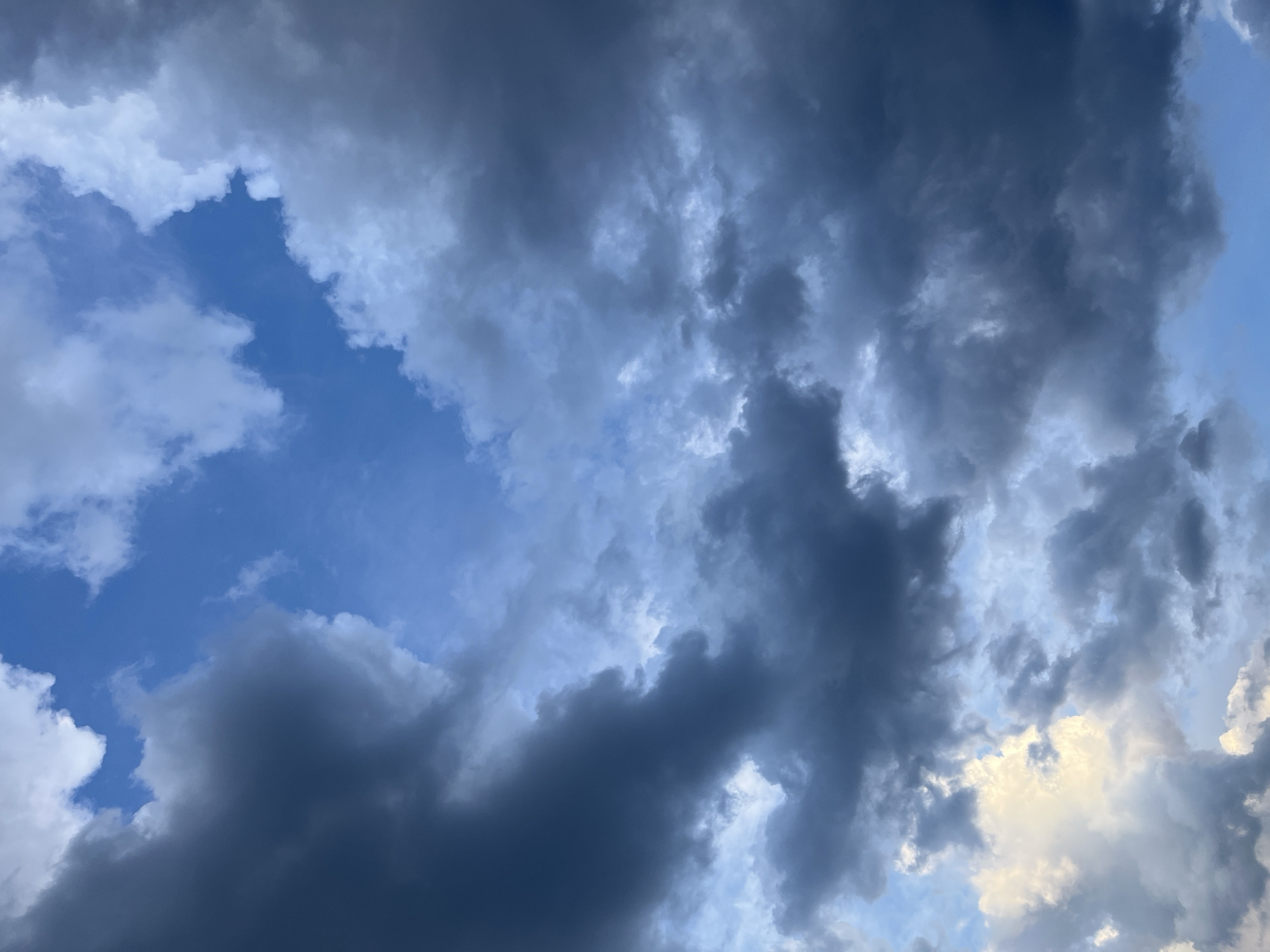 This image presents a dramatic and expansive view of a dynamic sky over Pchelnik, Bulgaria, dominated by a complex interplay of cloud formations and varying atmospheric conditions.
The primary subjects are the clouds themselves, which exhibit a wide range of shades and densities. Large, dark, and heavy-looking clouds, predominantly charcoal grey and deep blue-grey, fill significant portions of the frame, especially towards the right and bottom. These darker masses suggest considerable atmospheric moisture, hinting at either approaching or receding stormy weather.
Contrasting sharply with these darker formations are areas of bright, voluminous white and cream-colored clouds, particularly prominent in the middle and bottom right. These lighter clouds are illuminated by what appears to be direct sunlight, possibly filtered or peeking through breaks in the denser cloud cover, creating striking highlights and a sense of depth. A distinct patch of bright yellow-tinged cloud is visible towards the bottom right, suggesting the warm light of either a late afternoon sun or an early morning glow.
Interspersed among the cloud masses are clear, vibrant patches of blue sky, most notably in the top left and middle left of the image. The juxtaposition of deep blue sky, stark white and yellowish clouds, and heavy dark grey clouds indicates a transitional weather state, possibly during either sunrise or sunset, where light interacts dramatically with varied cloud layers.
There are no visible objects, people, or specific activities taking place, allowing the viewer's focus to remain entirely on the natural atmospheric phenomena. The scene evokes a sense of natural grandeur and the ever-changing power of the sky. No visible text is present in the media file.