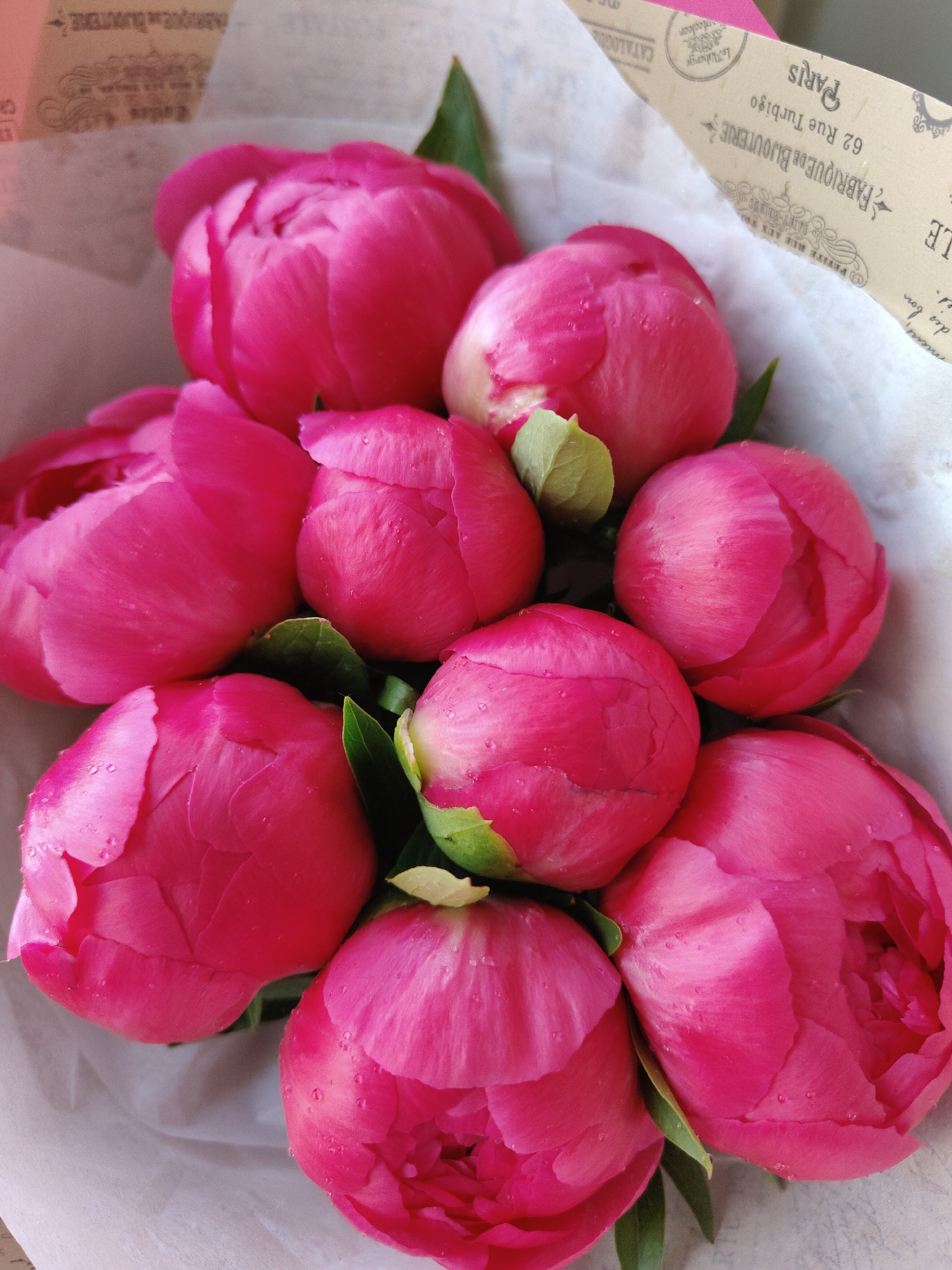 A vibrant bouquet of deep pink peonies, mostly in bud form, is displayed wrapped in paper. The flowers are a vivid fuchsia or hot pink, with many petals still tightly closed, while some are just beginning to unfurl. Small, clear water droplets are visible on the petals and the interspersed green leaves, indicating freshness or recent hydration.
The peonies are nestled within a layer of white tissue paper, which is then enveloped by an outer wrapping of light brown paper. This outer paper is printed with various antique-style text and decorative patterns, suggesting a vintage or artisanal origin.
Visible text on the wrapping paper, primarily in French, includes: "FABRIQUE DE BIJOUTERIE" (Jewellery Factory/Maker), "62 Rue Turbigo", "PARIS", "Le Auberge", "CATALOGUE", and partially visible phrases such as "PETITE RUE AUX TOU" and "des bon". The image captures the natural beauty and freshness of the blooms, presented in a thoughtful, elegant manner, possibly as a gift or a decorative arrangement in an indoor setting under natural light.