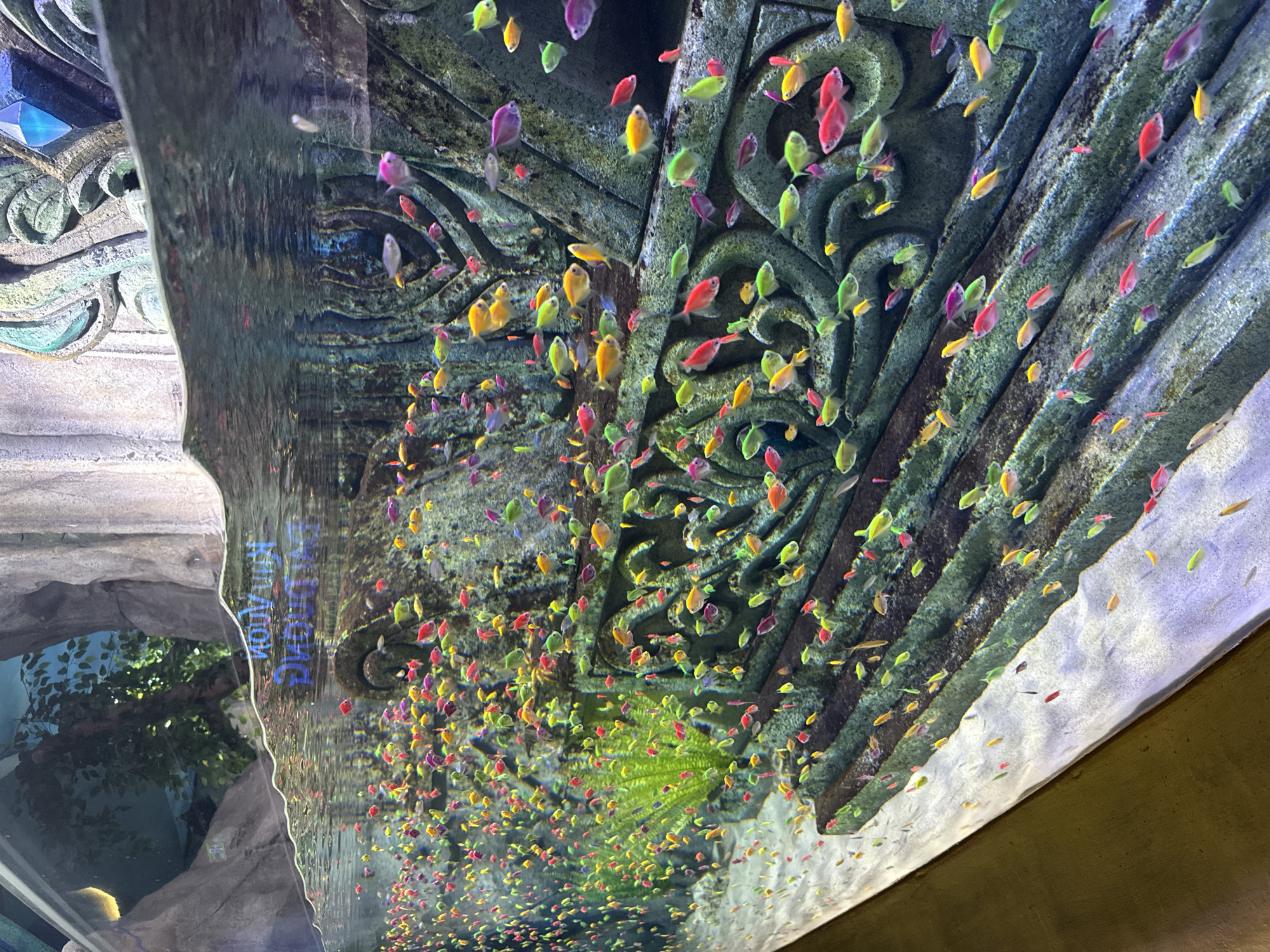 This image displays a large indoor aquarium exhibit located at VinWonders Nha Trang, Vietnam. The tank contains a dense aggregation of hundreds of small, brightly colored fish, specifically GloFish Tetras, exhibiting vibrant hues of pink, red, orange, yellow, green, and purple as they swim throughout the water column. The underwater environment is decorated with elaborate, artificial rock formations, predominantly dark grey-green, designed to resemble ancient ruins or architectural structures with intricate carvings and stepped ledges. A large, light blue, faceted crystal-like object is embedded into the rockwork in the upper right quadrant, partially submerged. A single cluster of artificial bright green aquatic plants is visible on the mid-left side of the tank. The tank's floor is covered with a light-colored substrate. The water surface is visible across the top, reflecting inverted text, "VinWonders Nha Trang," alongside reflections of overhead artificial rock formations and green foliage. No individuals are present within the frame.