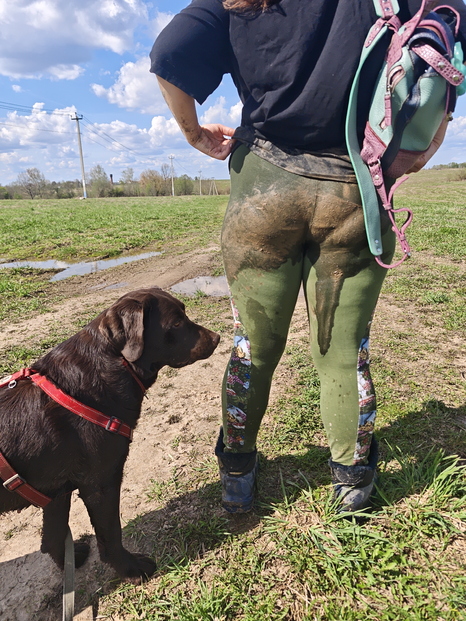 A medium outdoor shot captures a person and a chocolate Labrador in an open, rural-looking area. The person, viewed from the rear, is wearing a black t-shirt, green leggings with a patterned strip down the side, and dark-colored boots. The leggings are heavily soiled with mud on the rear. A light green and pink backpack is slung over their shoulder. The person has some mud on their arm. The Labrador, sporting a red harness, stands to the left, looking towards the person. The ground is a mix of grass, dirt, and mud, with a muddy puddle visible in the background. Utility poles can be seen in the distance against a sky with scattered clouds.