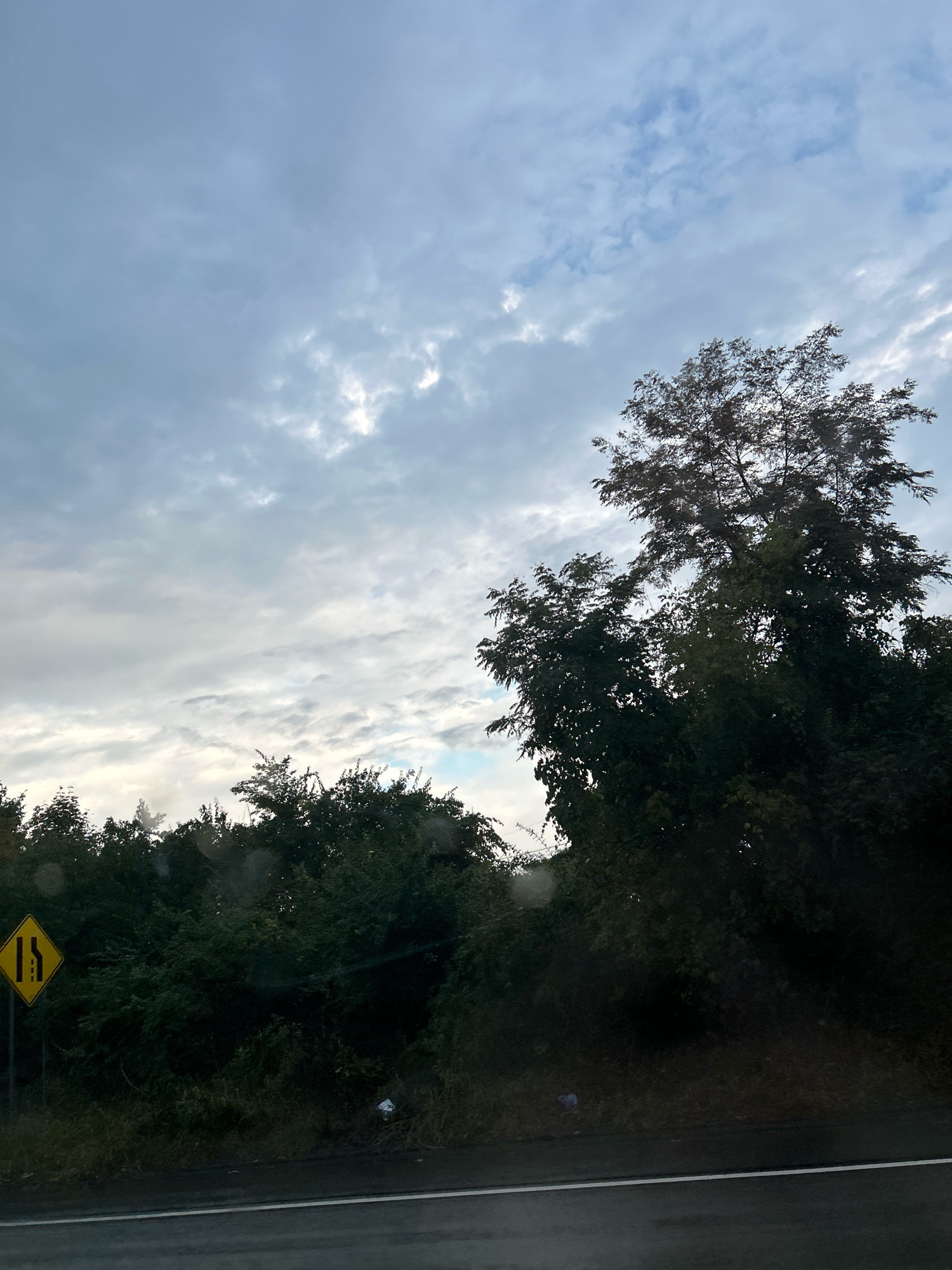 A traffic sign depicting two lanes merging into one is visible on the left side of the image. Beyond the sign, dense foliage lines the edge of a road. A variety of trees, some with dark green leaves and others with lighter, sparser foliage, create a thick natural barrier. The sky above is overcast with scattered clouds, allowing some patches of lighter sky to peek through. The overall scene suggests a rural or suburban setting, possibly along a highway or main road, with a focus on the natural landscape meeting the infrastructure. There are no people or animals visible in the frame.