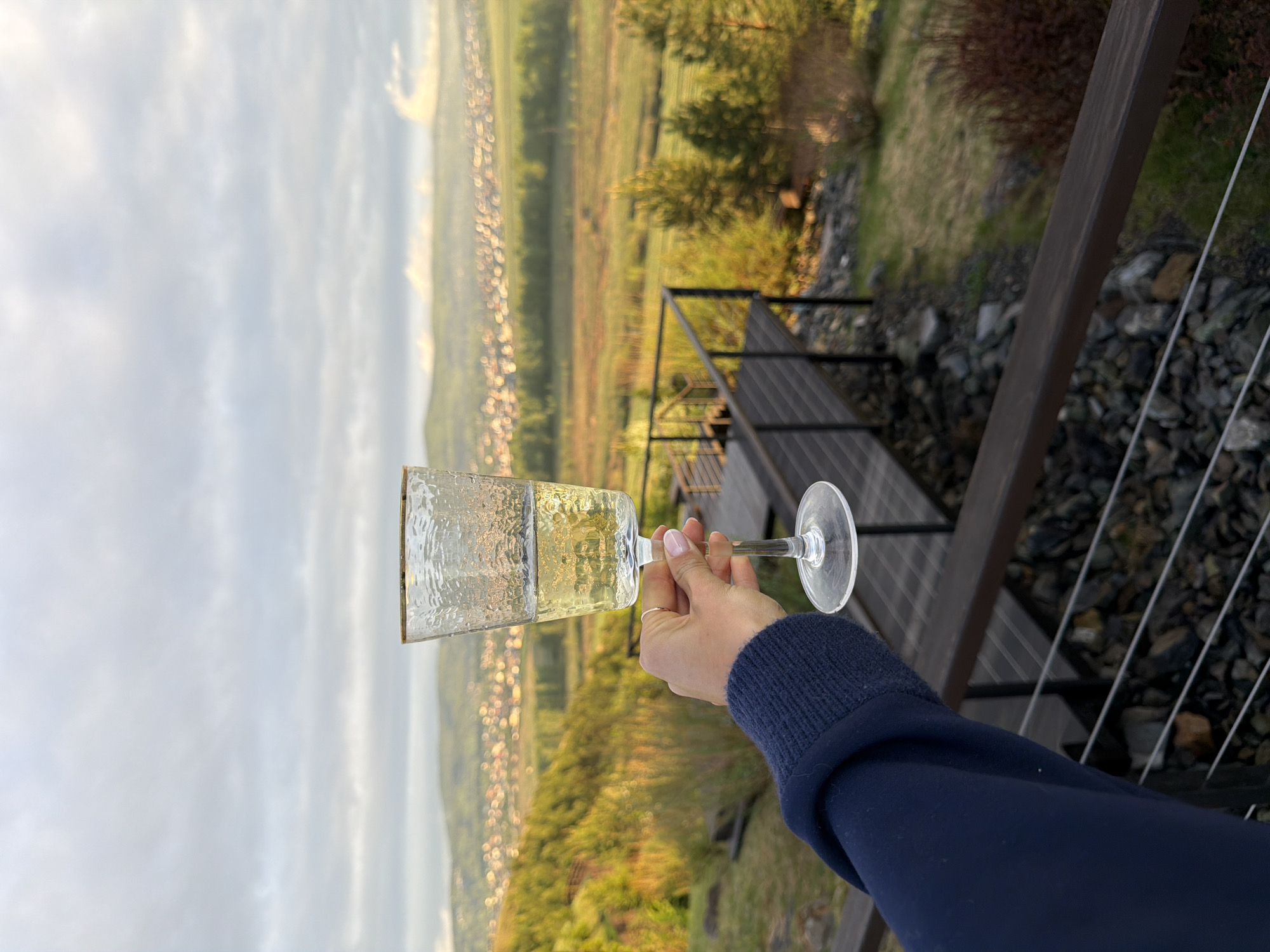 A person holds a champagne flute filled with a light-colored beverage. The background shows a landscape. The location is Элита, Russia. The person wears a navy blue, long-sleeved garment. The background includes a railing, steps, trees, vegetation, hills, and a town or a long stretch of houses. The sky is overcast.