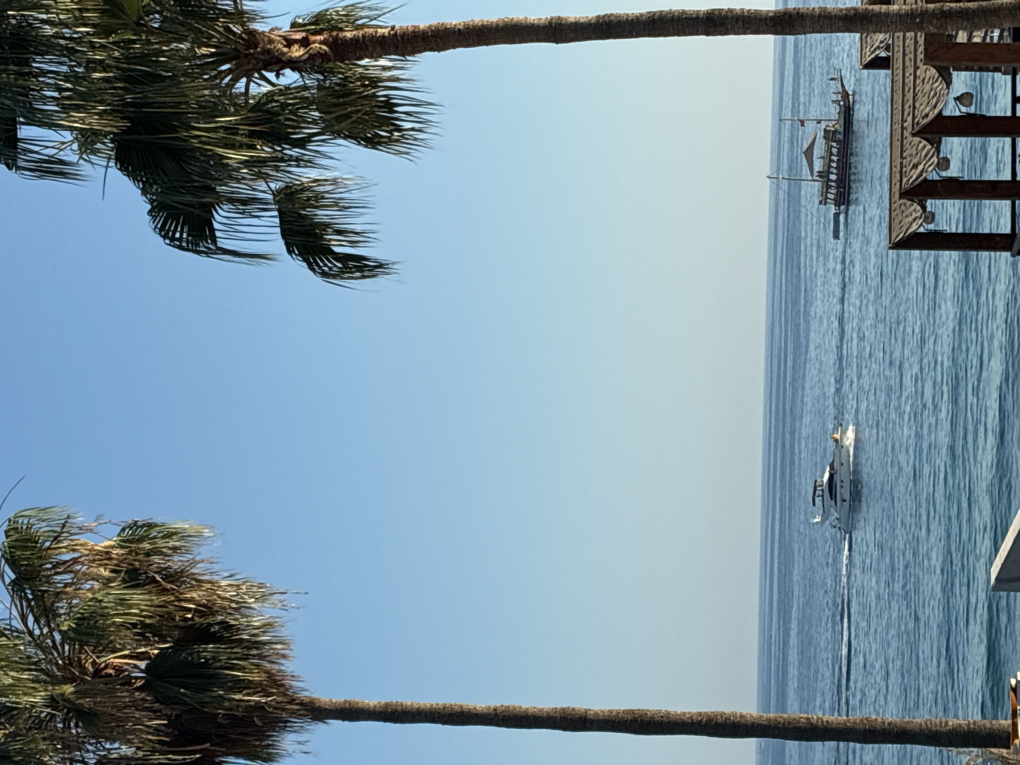 The image depicts a bright, sunny day with a clear blue sky over the sea. Two palm trees frame the scene, one on the left and one on the right, with their fronds casting shadows. In the middle distance, two boats are visible on the water. The boat on the left is a modern white yacht, leaving a wake as it moves. The boat on the right is a larger, traditional wooden vessel with sails and multiple passengers. In the foreground, on the right side of the image, is a structure with a thatched roof supported by wooden posts, suggesting an outdoor seating area or part of a pier. This scene is likely located in Alanya, Turkey, given the presence of palm trees and the coastal setting.