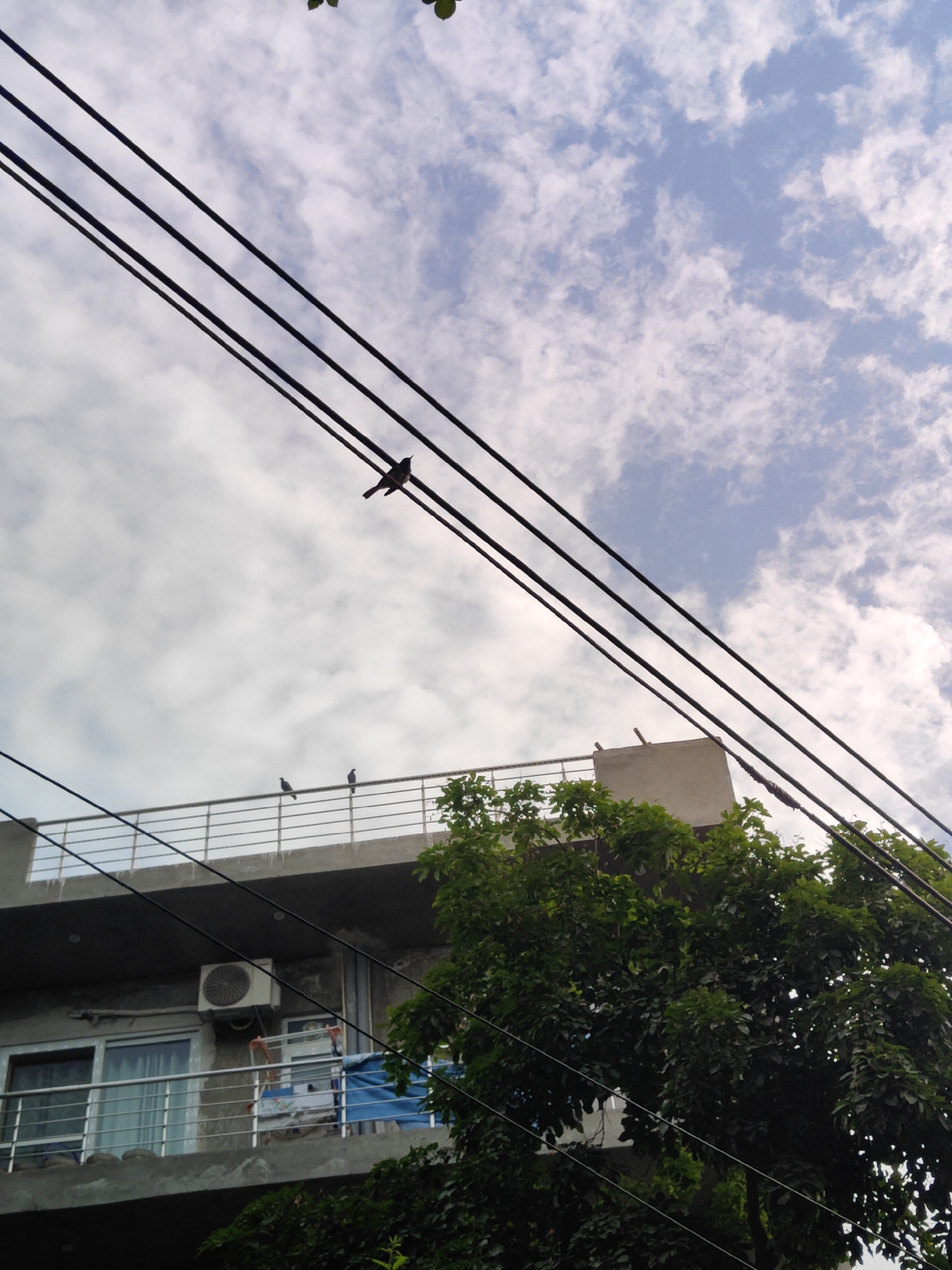 In Gurgaon, India, this image captures a view from below, looking up at a sky with scattered white clouds. Several parallel electrical wires stretch diagonally across the frame from the upper left to the lower right. On the highest wire, a single dark bird is perched. Further down, on a railing that extends horizontally across the middle of the image, two more dark birds are visible. Beneath this railing is the upper section of a multi-story building. This part of the building features a balcony with a metal railing, large windows, and an outdoor air conditioning unit. To the right, a dense green tree with numerous leaves partially obscures the building.