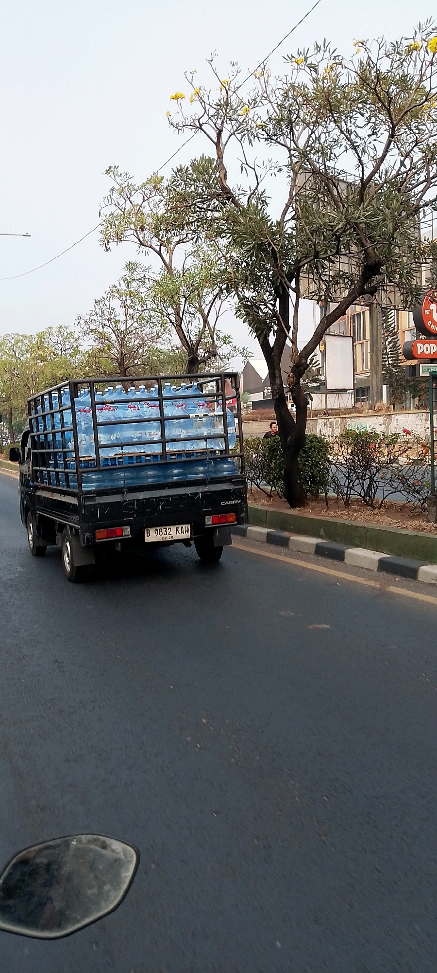 In an outdoor scene, a black pickup truck is observed driving on a road. The truck's bed is filled with multiple blue-tinted plastic water jugs, secured within a metal cage. The truck's license plate, visible on the rear, reads "B 9832 KAW". The road appears to be asphalt and shows signs of wear. Adjacent to the road, there's a sidewalk with alternating black and white painted curbs. Beyond the sidewalk, a line of bushes and trees can be seen. One tree in the foreground has a rough, dark trunk and branches, some of which are adorned with small yellow flowers. In the background, several buildings are partially visible, along with signage for "POPEYE'S" and "CHICKEN". The sky is overcast. The overall setting suggests a roadside location in a built-up area. The image was taken in Bekasi, Indonesia, as indicated by the license plate format typical for the region.