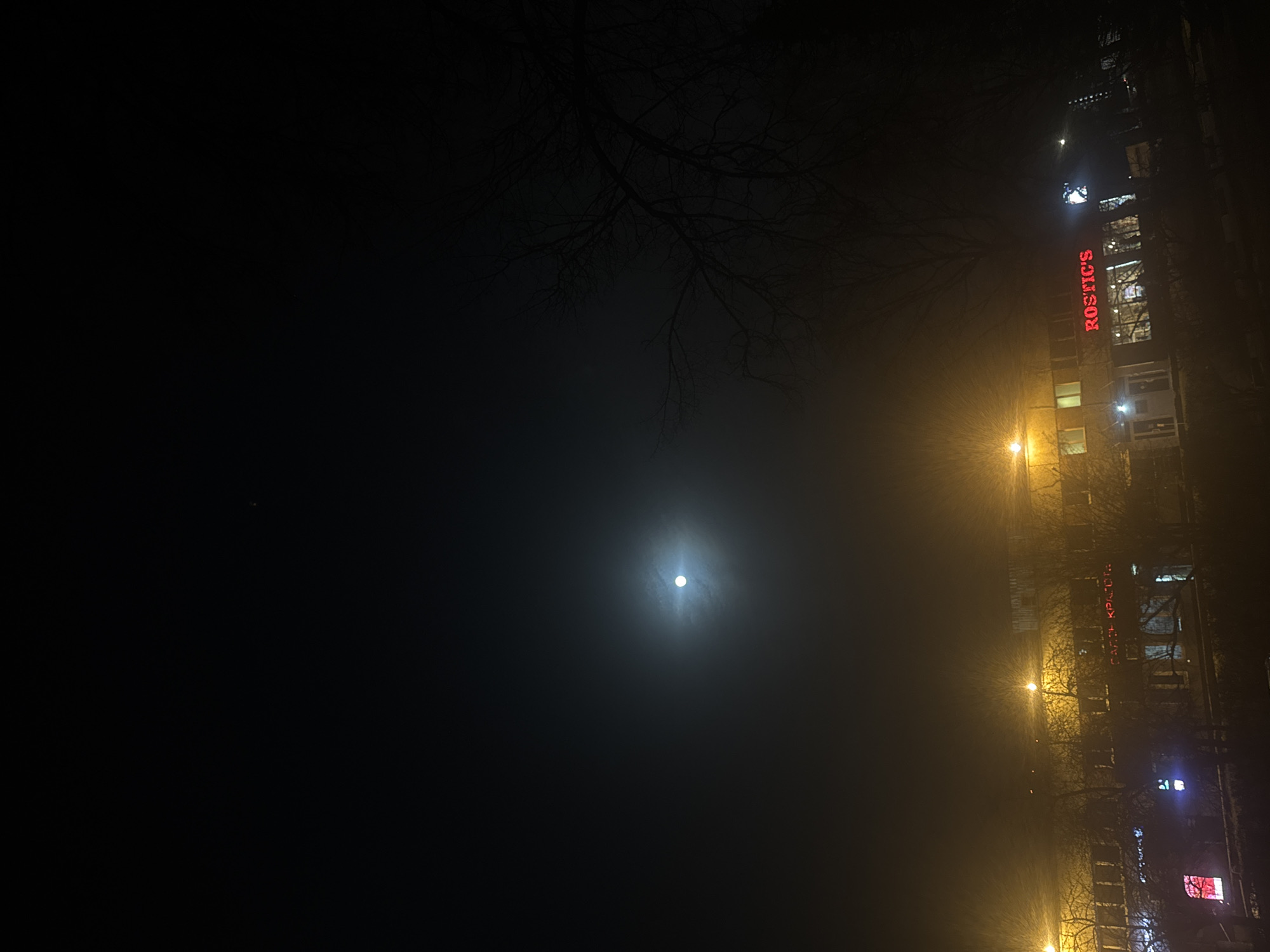 The image shows a night scene in Moscow, Russia, dominated by heavy fog or snow. A brightly illuminated moon is visible in the upper center. A tall building with a vertical red neon sign that reads "ROSTIC'S" (a fast-food restaurant chain) is on the right side of the frame. Streetlights illuminate the building and the area, reflecting off the fog/snow. Bare tree branches are silhouetted in the foreground. The overall atmosphere is dark and obscured.