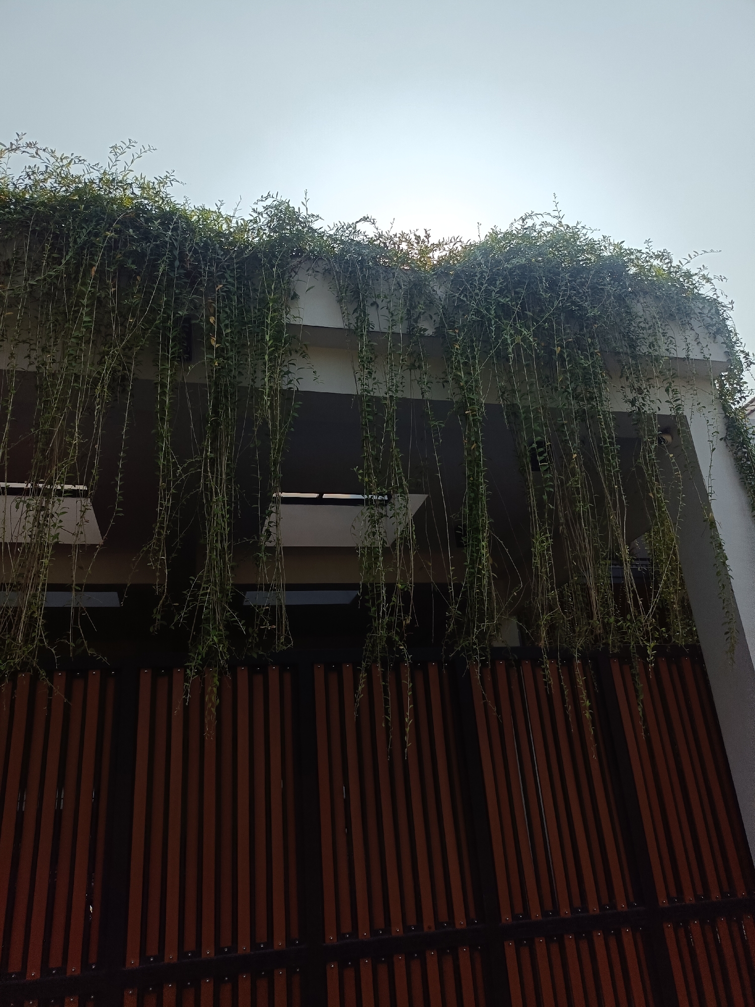 The image shows a building with lush green vines cascading over the top and down the side. The vines hang over a dark brown slatted fence. The sky above is bright and clear. The building appears to be multi-story and modern. The scene is outdoors and appears to be in a residential or commercial area. This location is in the city of Kediri, Indonesia.