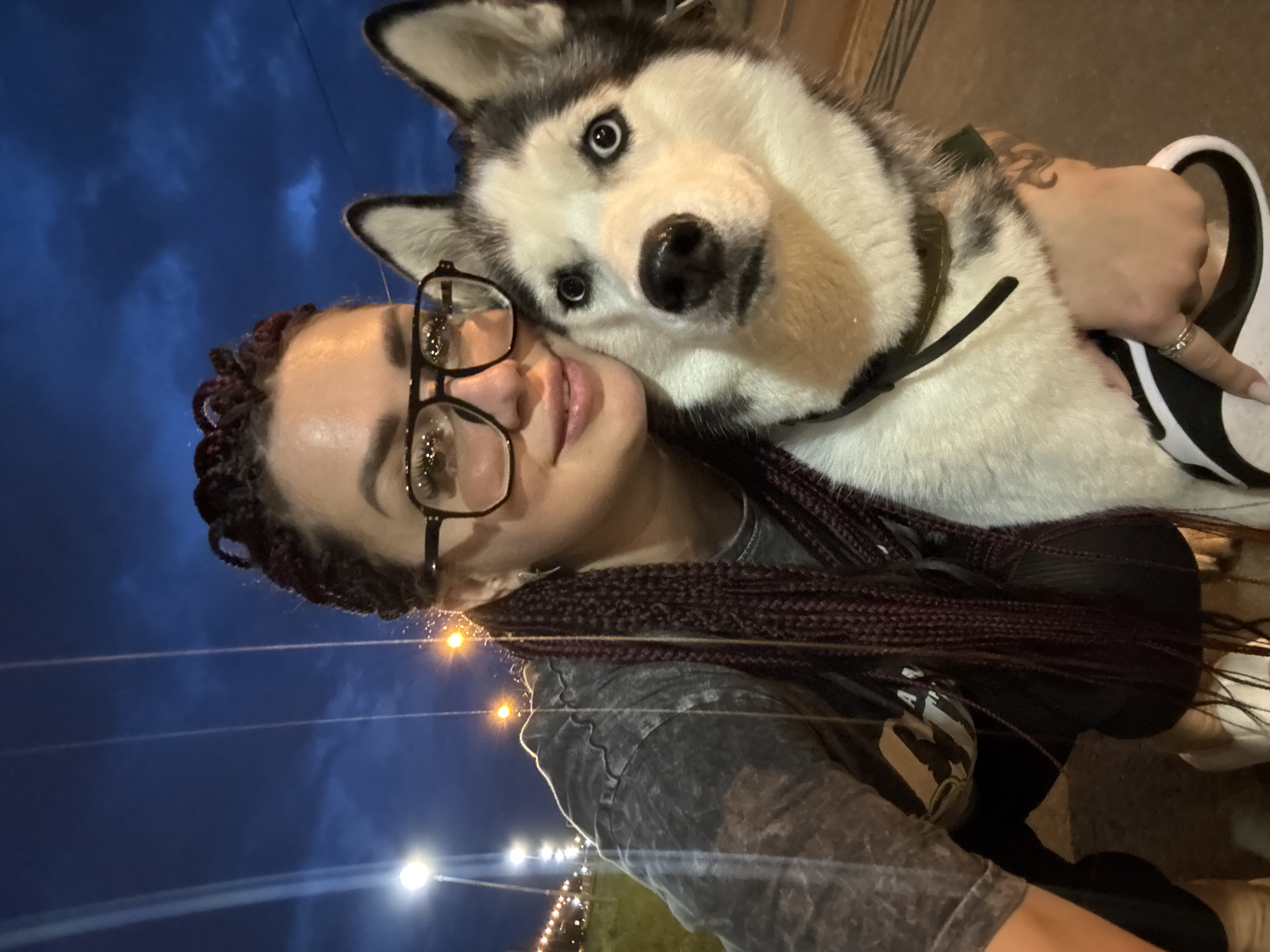 A woman with braided, dark purple hair and glasses is posing for a selfie with a husky dog in Tolyatti, Russia, at dusk. The woman is wearing a grey t-shirt. The husky has black and white fur and blue eyes. They are outdoors, with streetlights and a dark, cloudy sky visible in the background. The woman is holding the dog's leash. The location appears to be a street or park area.