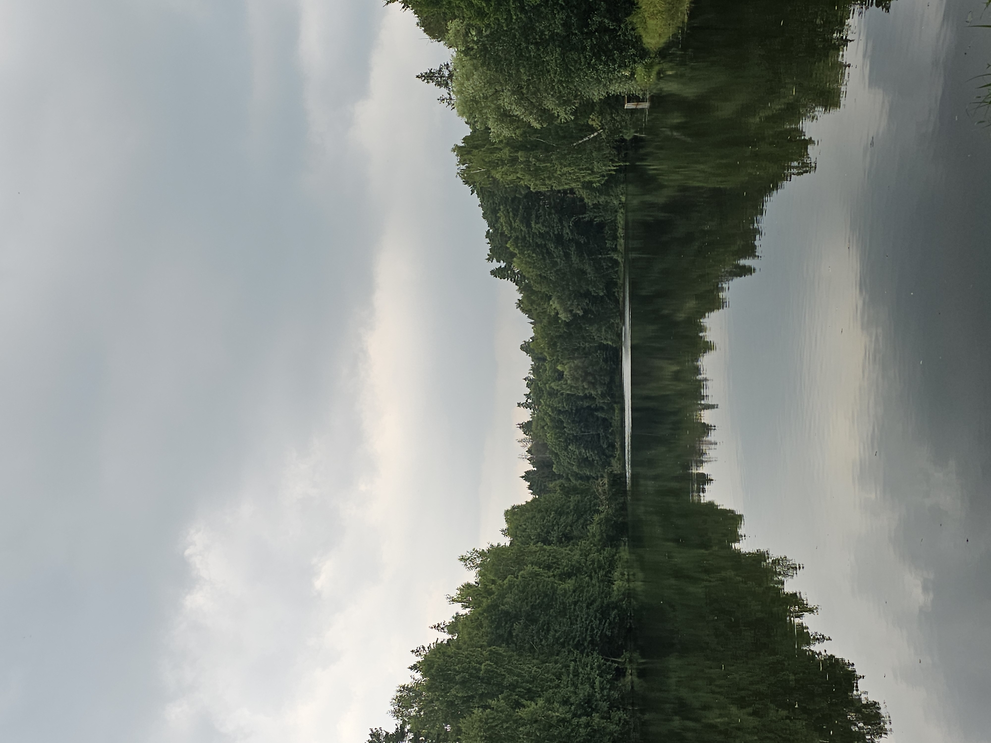The image depicts a serene natural landscape at a lake located in Ulitkino, Russia. The sky is overcast with grey clouds, contributing to a diffused natural light. Dense, lush green trees line the banks of the lake, creating a verdant border. The still water of the lake perfectly mirrors the trees and the sky, creating a symmetrical and tranquil scene. In the distance, on the right bank, a small wooden structure, possibly a pier or a small dock, is visible amidst the trees. There are no people or animals visible in the frame. The environment appears calm and undisturbed.