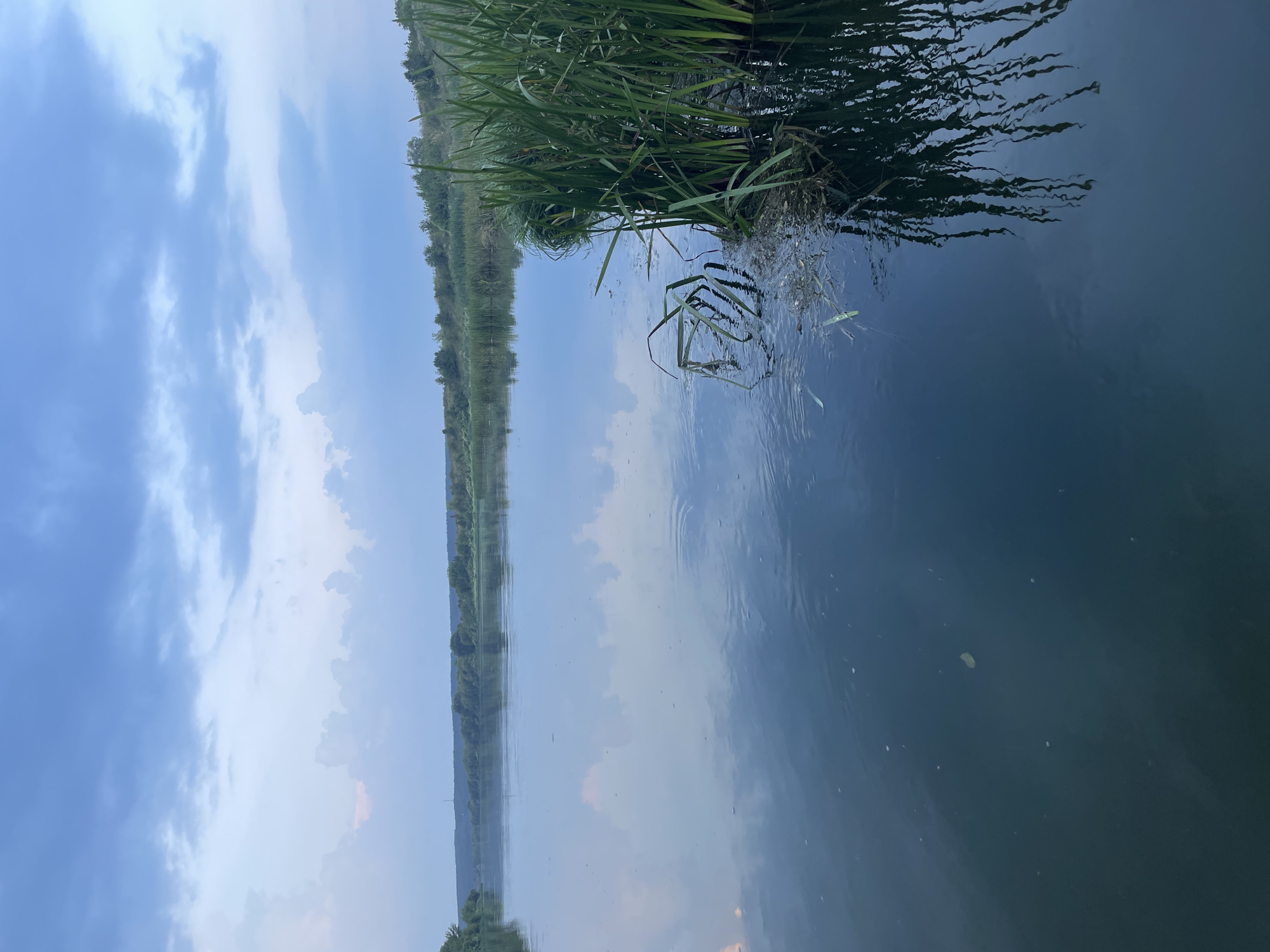 The image depicts a serene natural landscape of a wide, calm river under a cloudy sky. Lush green reeds and vegetation grow along the right bank, their reflections shimmering on the water's surface. The opposite bank is lined with a dense band of trees, forming a dark, undulating horizon. The sky is a blend of pale blues and grays, with diffused sunlight filtering through the clouds. The overall impression is one of tranquility and natural beauty. The specific location in Verkhneye Kazachye, Russia, is a rural or natural area characterized by a river and surrounding vegetation. There are no people or animals visible in the image.