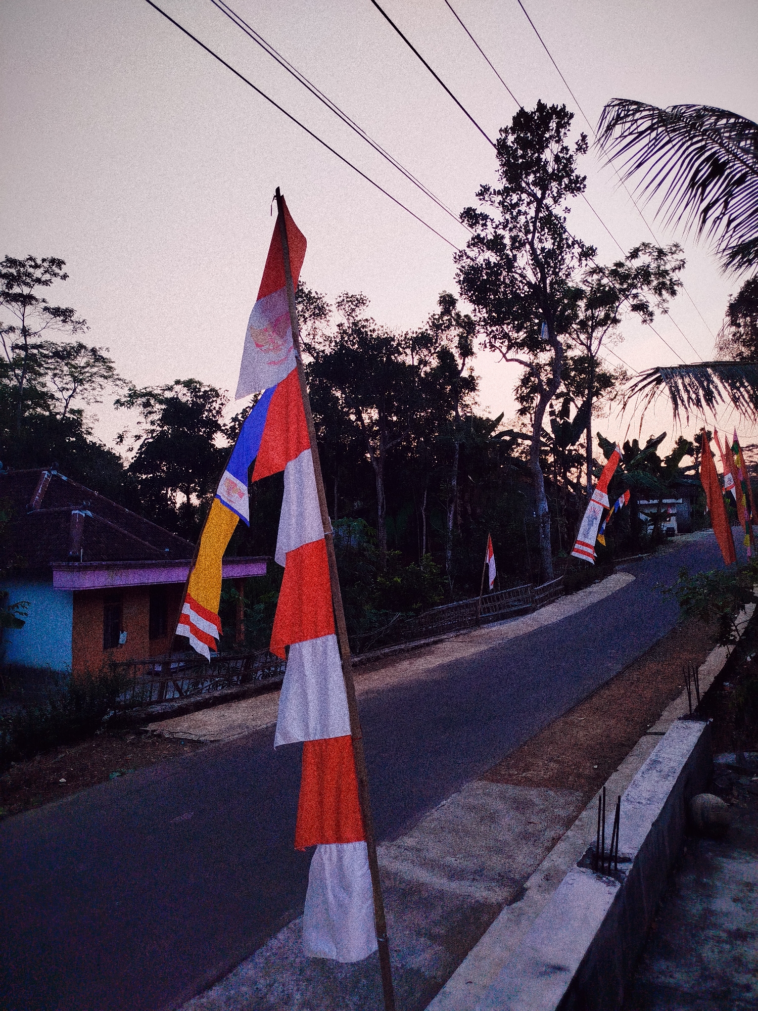 In Sewurejo, Indonesia, a street scene unfolds at dusk. The foreground is dominated by a wooden pole adorned with several Indonesian flags, their red and white stripes and blue and yellow sections fluttering in the breeze. To the left, a modest house with an orange and blue facade is visible, nestled among lush greenery. The road, paved and curving, stretches into the distance, flanked by trees and more flags. Overhead, power lines crisscross the sky, silhouetted against the soft, dusky hues of the twilight. The overall atmosphere is serene, a quiet moment captured in a rural Indonesian setting.