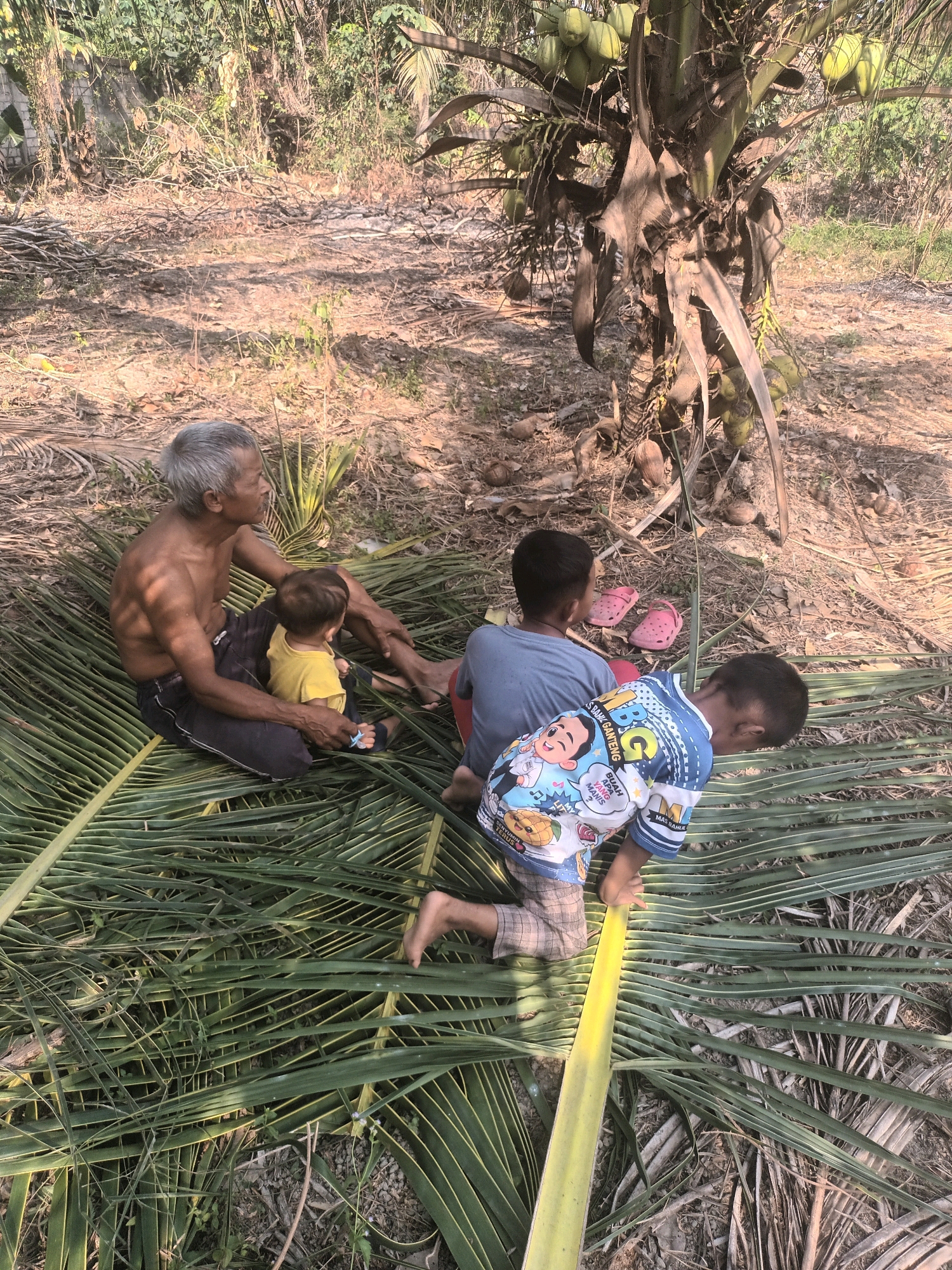 In an outdoor, rural setting, an elderly shirtless man with gray hair sits on a bed of large green palm fronds. He is looking to his right, with his left arm around a baby wearing a yellow shirt. The baby is facing the man and holding a blue pacifier. To their right, two young boys are also seated on the palm fronds. One boy, wearing a gray shirt, is facing away from the camera, and pink flip-flops are visible next to him. The other boy, on the far right, is wearing a blue and white shirt with a cartoon character design and plaid shorts. He is leaning forward and reaching out with his right hand. A coconut tree with green coconuts is visible behind the group. The ground is covered in dry leaves, twigs, and dirt.