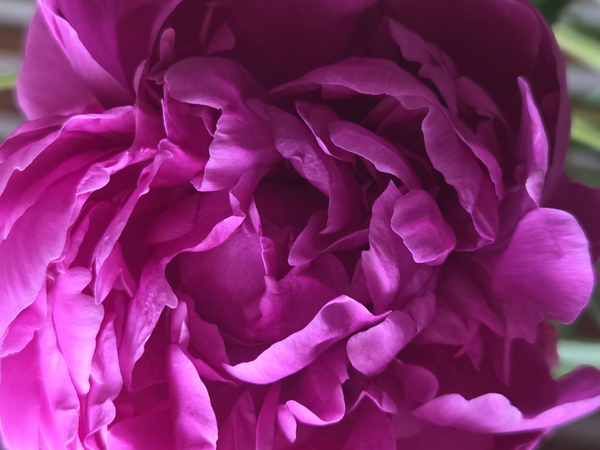 The image is a close-up, abstract view of vibrant magenta peony petals. The focus is on the delicate, ruffled texture and layered arrangement of the petals, creating a sense of depth and fullness. The lighting highlights the soft curves and shadows within the flower. There is no discernible location in Moscow, Russia, nor any people or specific objects visible.