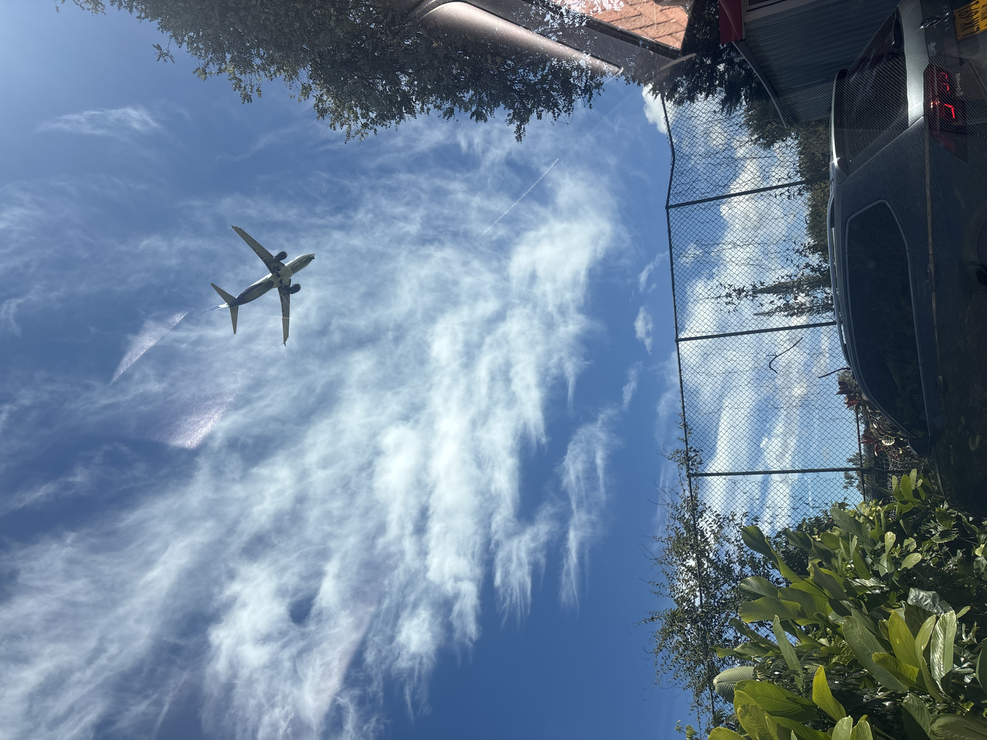 The image shows a daytime view looking up at the sky in Llanogrande, Colombia. A commercial airplane is visible in the blue sky with wispy clouds. A contrail is present above the plane. A chain-link fence and green foliage are visible on the right side of the frame. The corner of a dark-colored car and part of a building roof are present at the upper right of the image. The top left of the image is obscured by tree foliage and roof.