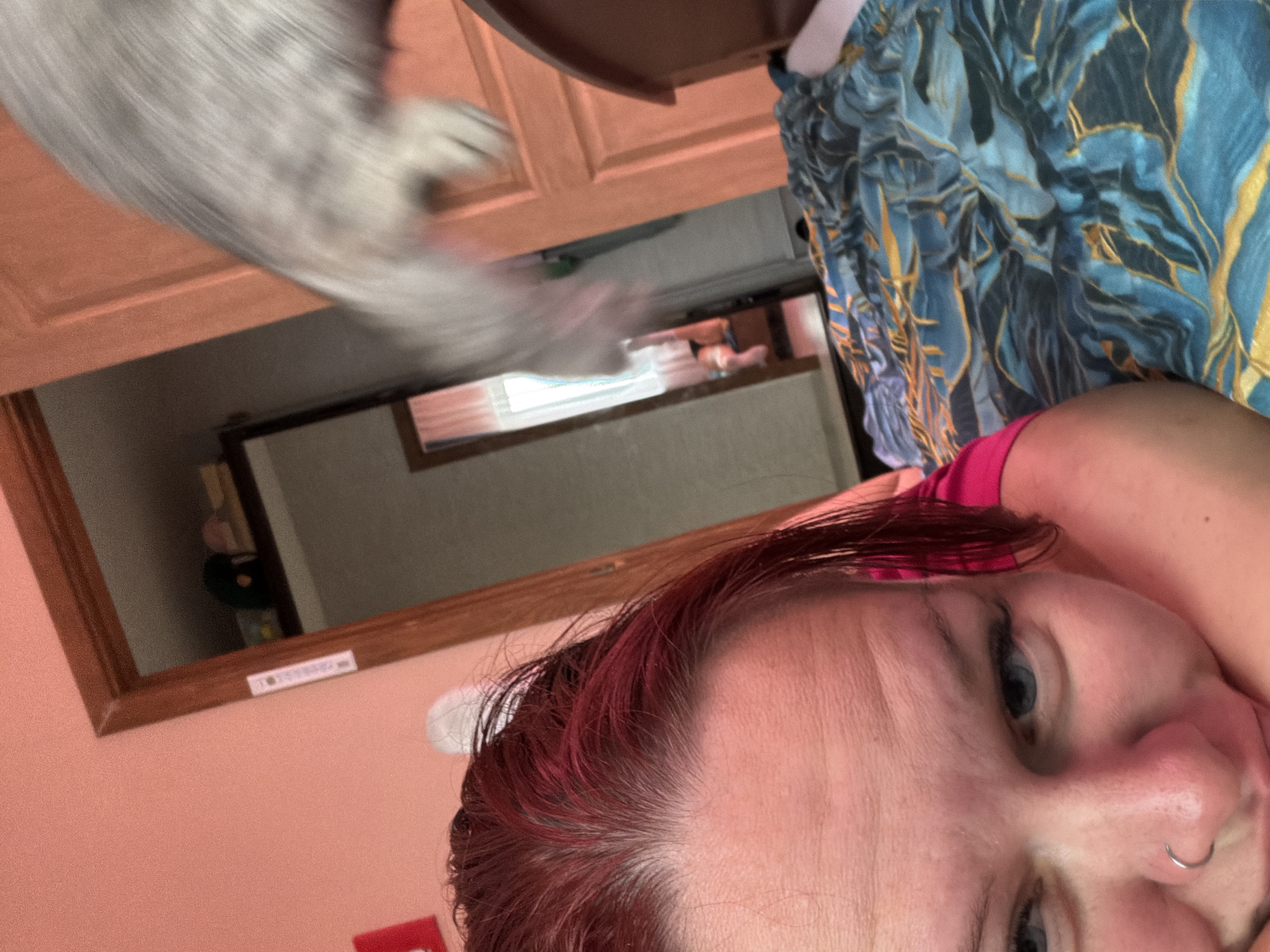 The image depicts a close-up, rotated view of a person's face with red hair, blue eyes, and a nose ring. The person is wearing a pink top and a blue and gold patterned garment. In the background, elements of a domestic interior are visible, including wooden cabinets and a framed mirror. The image also shows a blurry gray animal, possibly a cat, in motion near the top of the frame. There is no information available in the image about the location being the city of Chaikovsky, Russia.