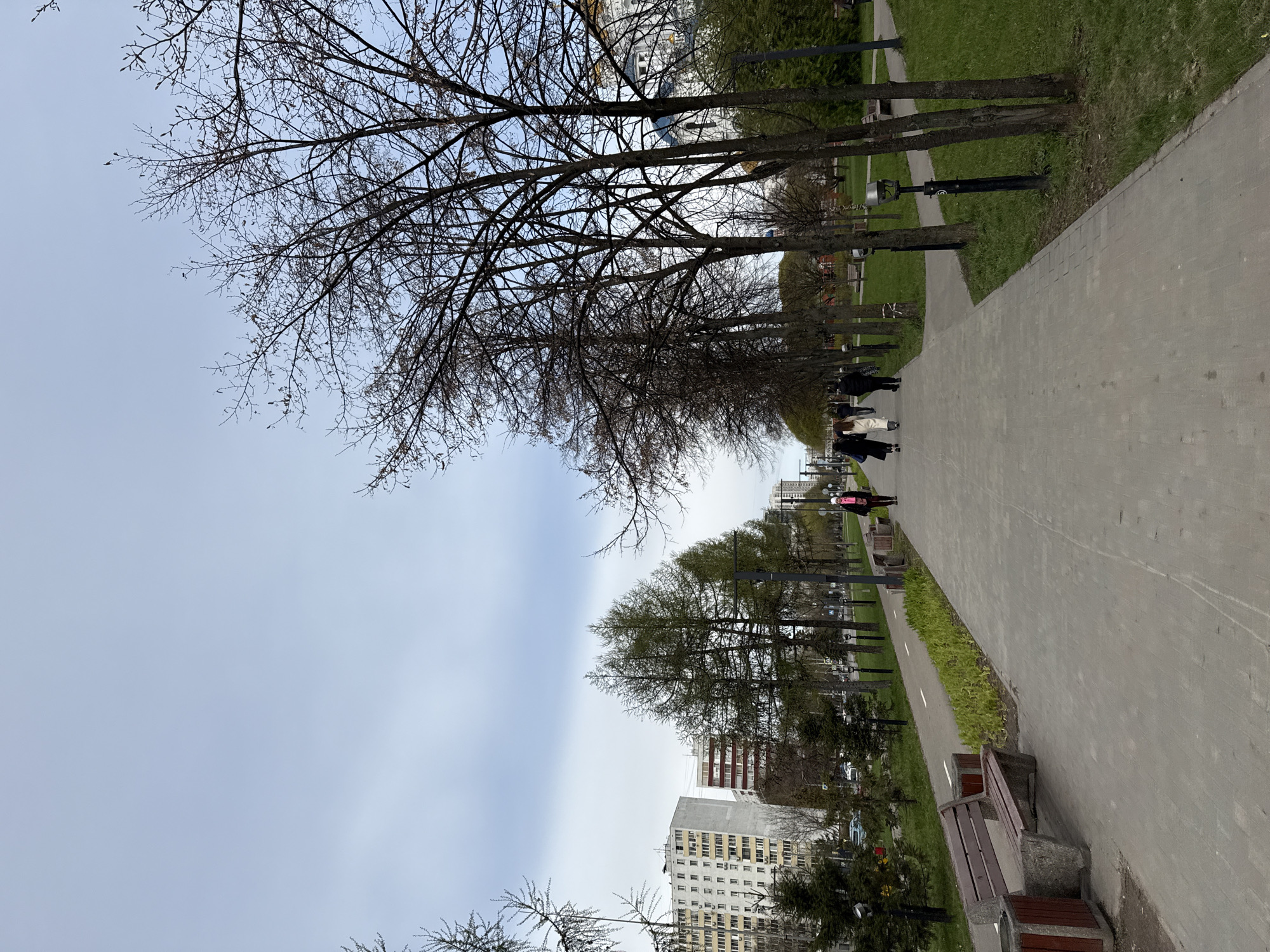The image captures a wide, paved park walkway in an urban environment, likely Moscow, Russia, under an overcast daytime sky. The main pathway stretches diagonally from the lower right foreground into the distance, lined on both sides by trees and green grassy areas.
On the left side of the primary walkway, a prominent row of tall, deciduous trees with intricate bare branches stands against the light blue-grey sky, suggesting early spring before full foliage has emerged. To the right of the main path, a narrower paved path, possibly a bike lane with a faint white dashed line, is visible, separated by a strip of green grass. Several park benches with wooden slats and concrete bases are positioned alongside these paths.
Numerous individuals are seen walking along the main path in the mid-ground and distance, appearing as small figures. They are dressed in casual outerwear, with one person in the far distance wearing a noticeable pink jacket. Black lampposts are spaced intermittently along the paths. In the background, beyond the trees and parkland, several multi-story urban buildings, consistent with residential or office architecture, are visible. The overall scene depicts a calm, ordinary day in a well-maintained urban park setting. No visible text is discernible in the image.