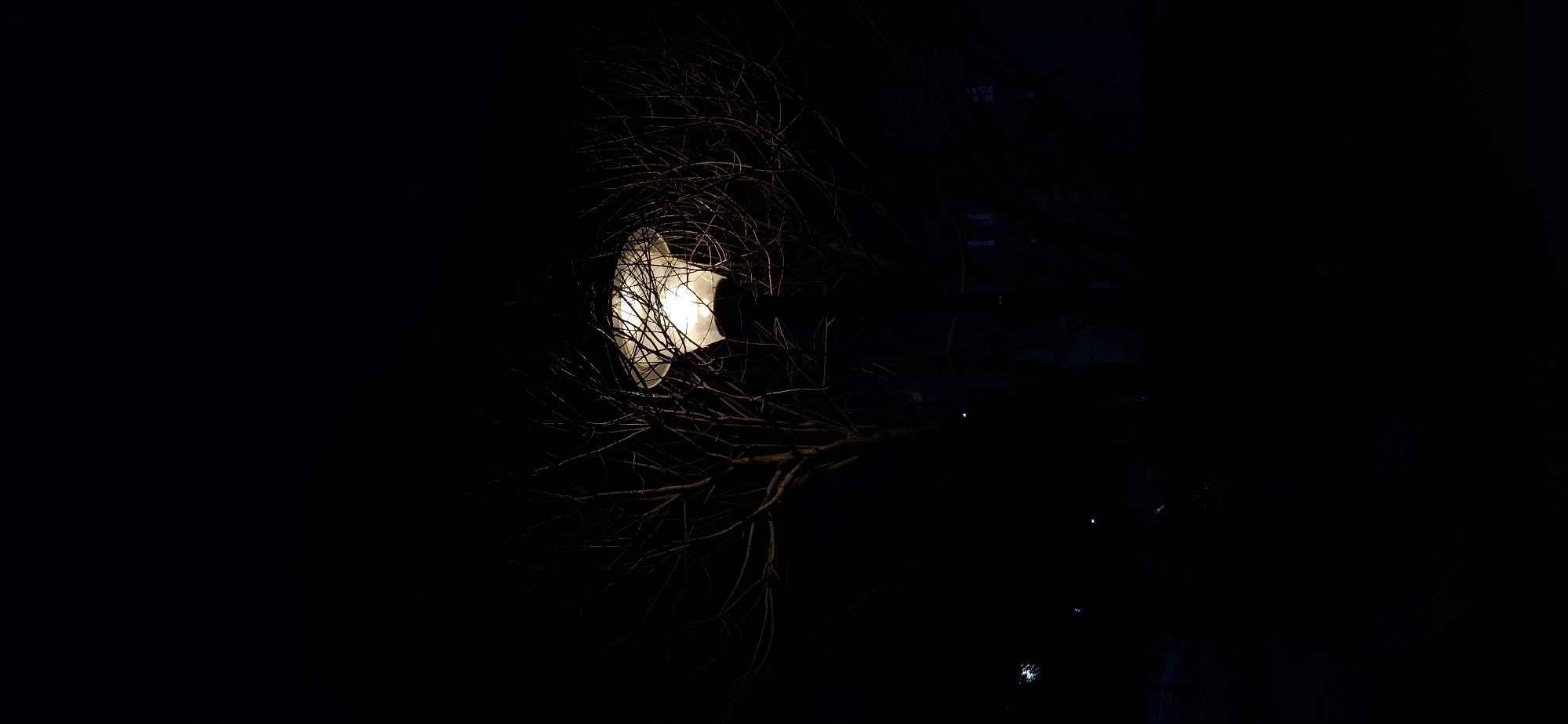 A nighttime shot shows a street lamp in Chaikovsky, Russia, partially obscured by bare tree branches. The lamp emits a bright, white light. The background is dark, with some indistinct shapes suggesting buildings and reflections from water.