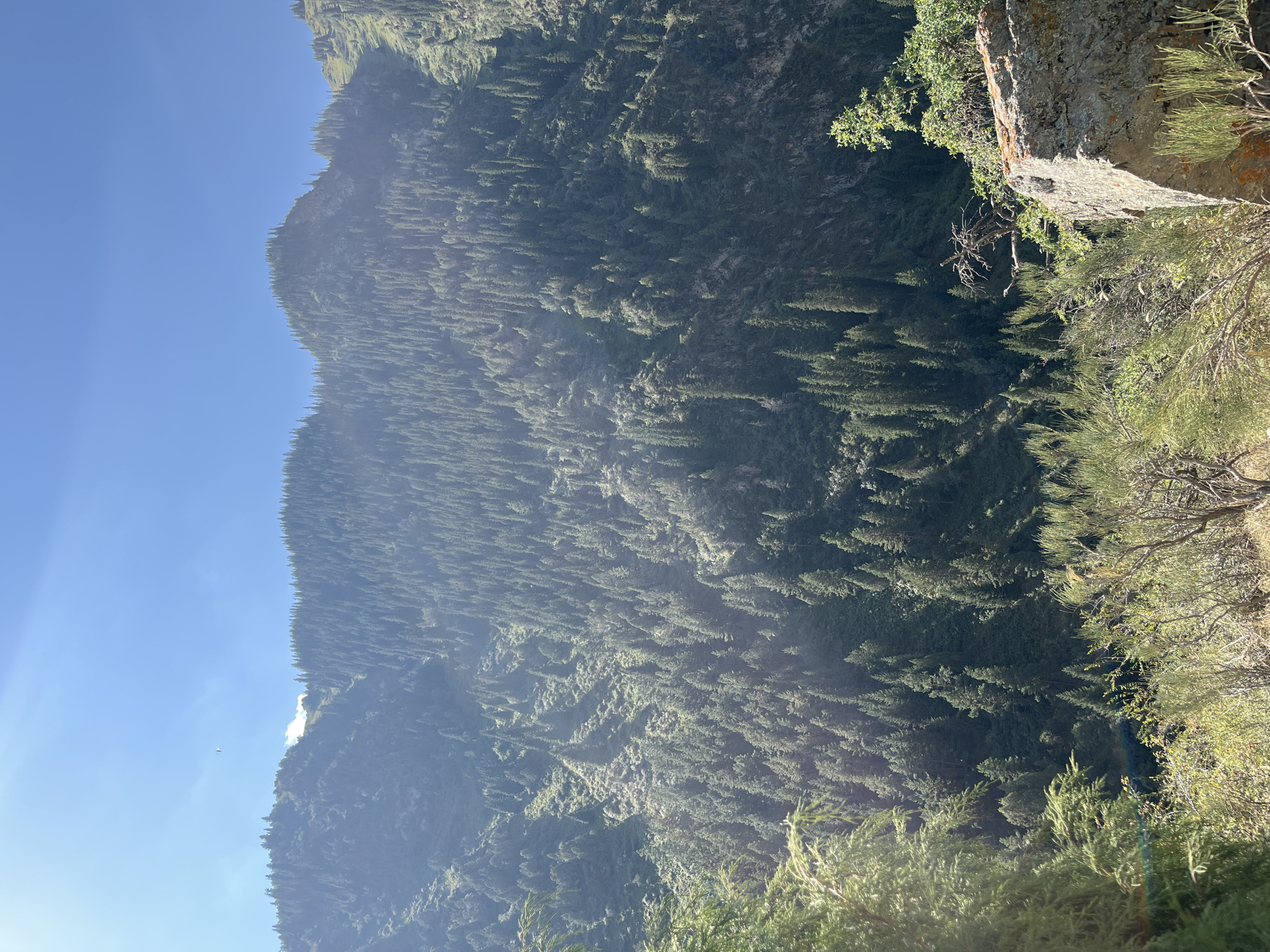 This is a vertical, outdoor, medium shot of a lush green mountain covered in a dense forest of coniferous trees under a bright blue sky. Sunlight streams down from the upper left, casting shadows and highlighting the texture of the trees and the mountain's contours. In the foreground, several large rocks and dry brush are visible. In the far distance, a small object, possibly a paraglider, is visible in the sky. The scene is located in Karagai Bulak, Kyrgyzstan.
