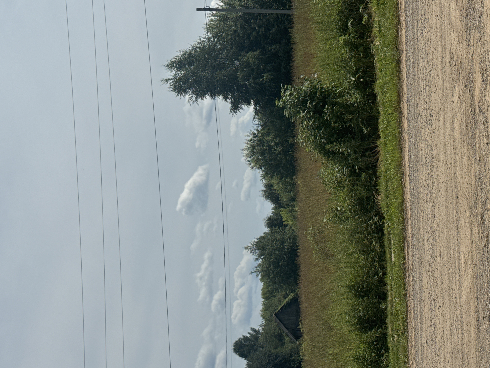 The image depicts a rural landscape, likely in Nozhovka, Russia. In the foreground, a dirt road or path is visible, leading into a field of dry grass and green foliage. A small, dark wooden structure, possibly a shed or an old house, is nestled amongst trees in the middle ground, partially obscured by vegetation. Beyond this, a dense line of various trees forms a backdrop, with a power pole and overhead wires extending across the sky. The sky is overcast with scattered clouds, suggesting a diffused, possibly humid day. The scene is serene and appears untouched, conveying a sense of rural isolation.