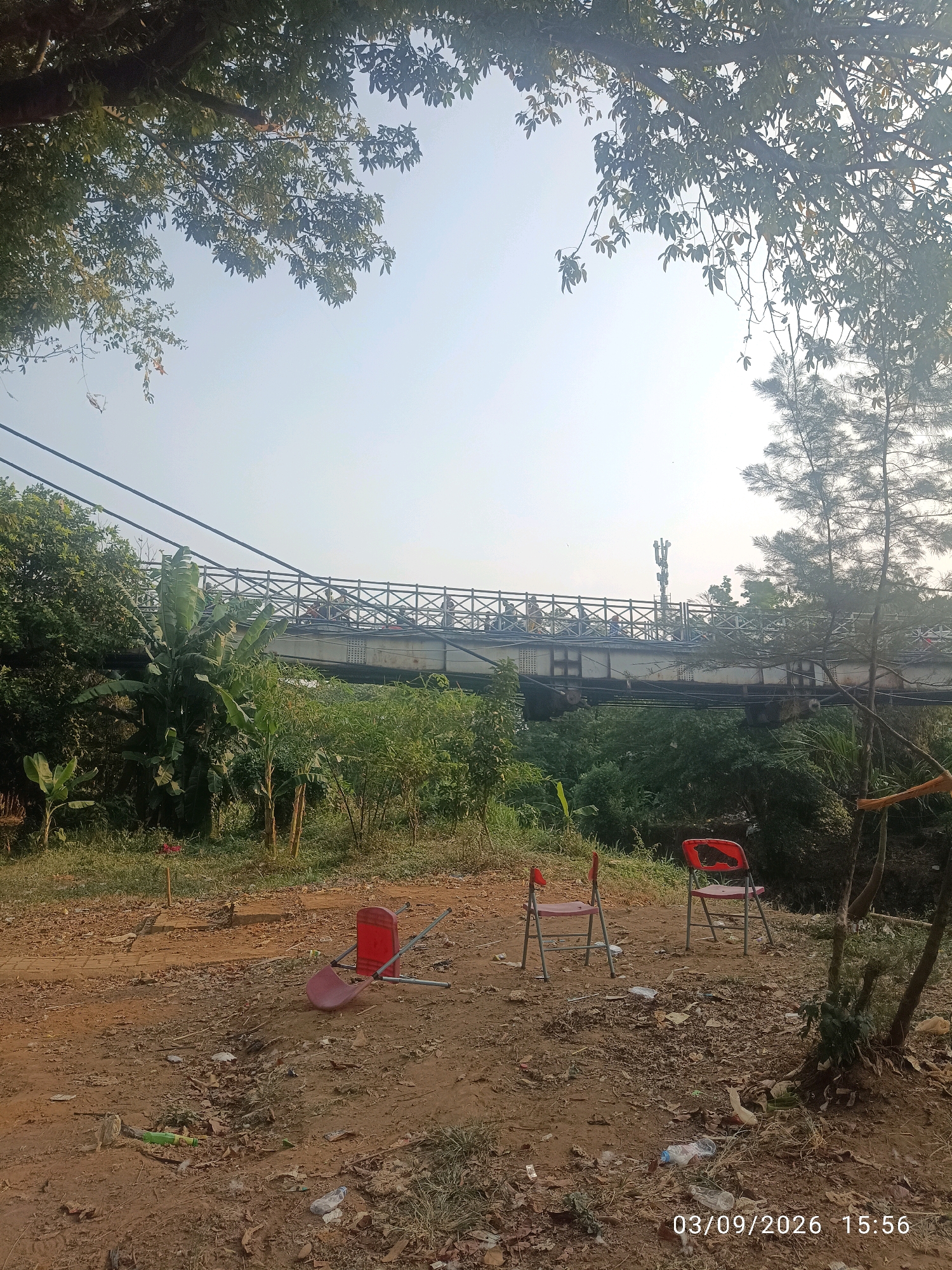 In an outdoor scene in Unknown, Unknown, a clear sky is visible above a dense canopy of green leaves from a large tree on the left and a thinner pine tree on the right. In the mid-ground, a long, narrow bridge spans across the frame, supported by metal beams. The bridge has a decorative railing and appears to have several people and vehicles on it. Below the bridge, lush green vegetation, including banana trees and other plants, creates a dense undergrowth. In the foreground, a dirt path is littered with leaves and debris, including plastic bottles and trash. Two red plastic chairs are present on the dirt path, one upright and the other toppled over. A timestamp in the bottom right corner reads "03/09/2026 15:56".