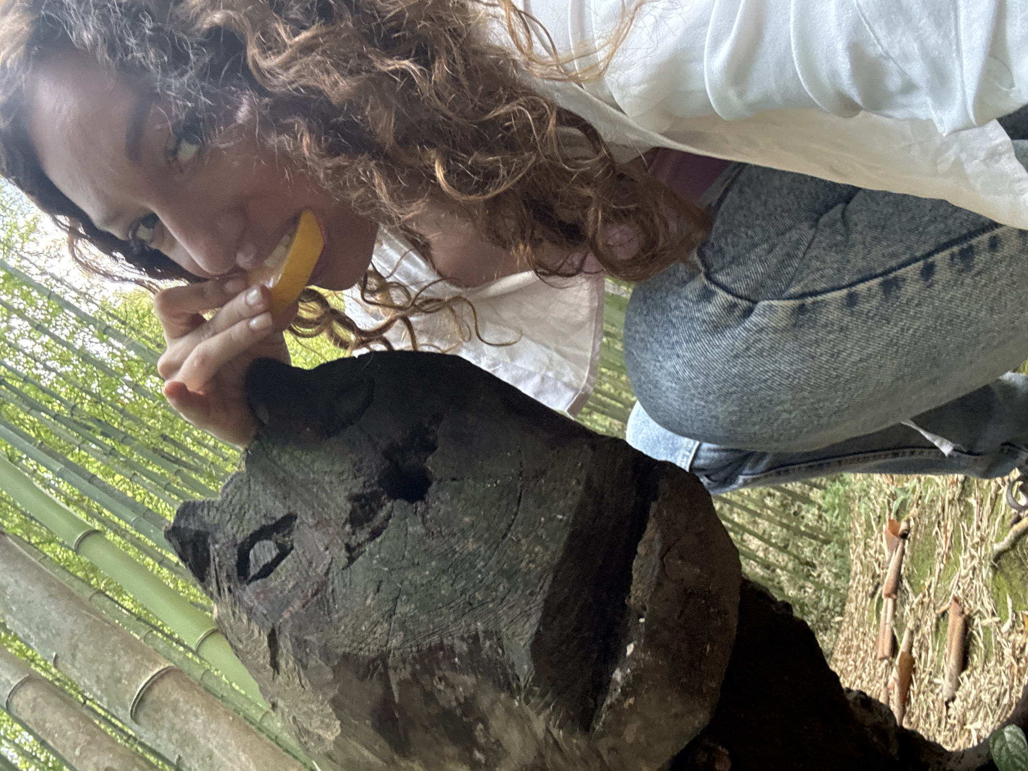 A person with curly brown hair is holding a slice of orange or lemon to their mouth, standing outside in Ngã Ba Kim, Vietnam. The person is wearing a white shirt and blue jeans. In front of them is a carved wooden object that resembles an animal face. Behind the carved object are rows of bamboo stalks. The ground is covered in fallen leaves and debris.