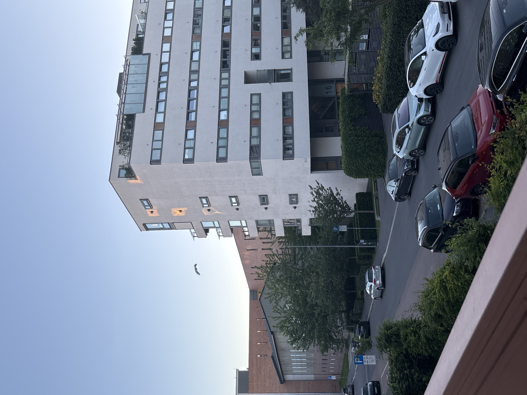 A contemporary apartment building with a white facade and numerous windows stands on the right side of the image. The building has balconies on some floors and a green roof area with a glass enclosure. In front of it, a street is lined with parked cars. Among the vehicles are a white Tesla, a light blue SUV, a dark red SUV, a black SUV, and a silver station wagon. Green hedges and trees line the street and property. To the left of the apartment building, a larger brick building with rows of windows is visible. The sky above is clear and blue, with a single bird flying. The scene appears to be an urban residential area during daylight.