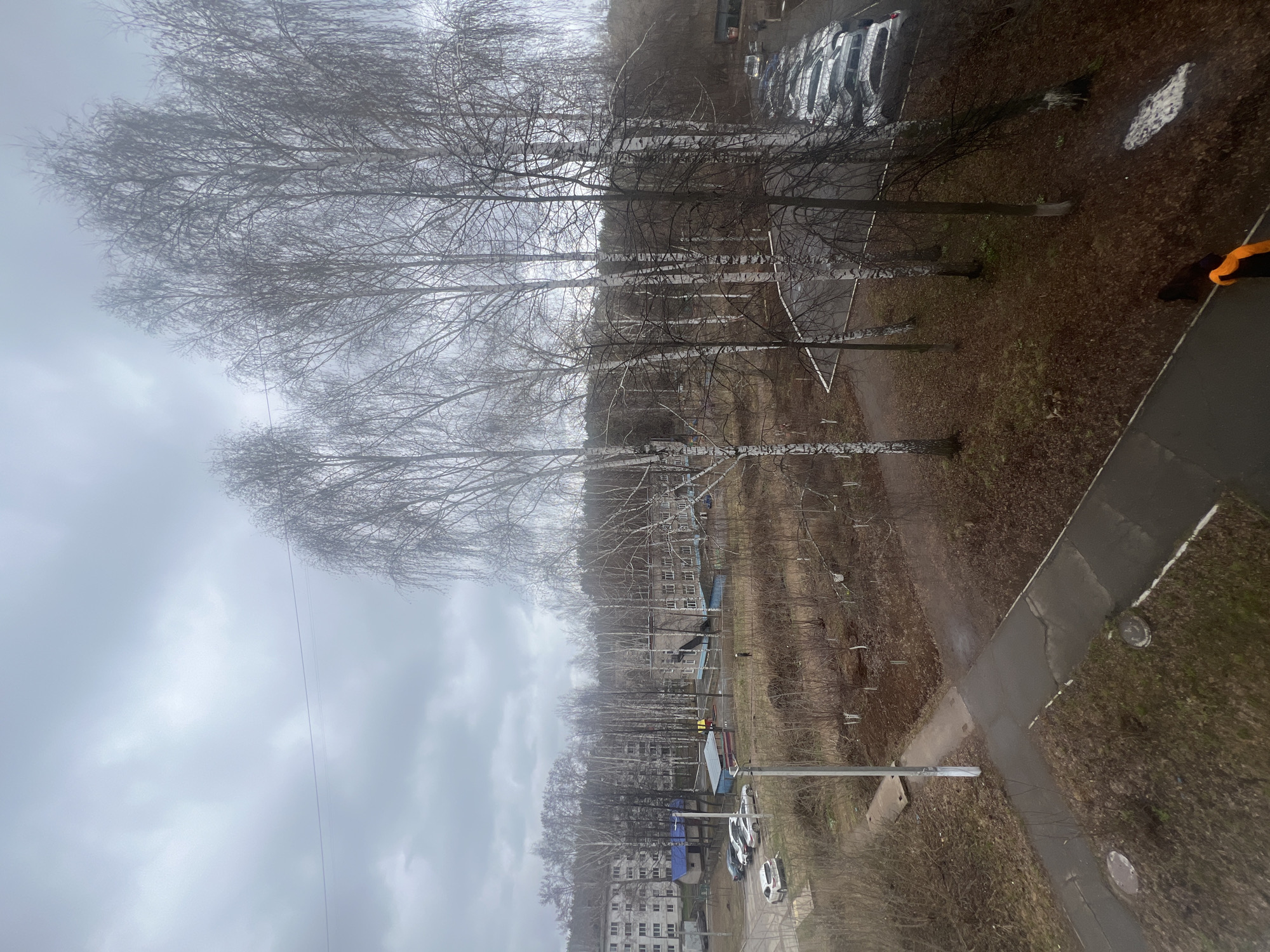 The image shows an overcast, possibly early spring scene in Chaikovsky, Russia. A row of birch trees dominates the middle ground, their bare branches contrasting with the grey sky. Behind the trees is a multi-story building, likely residential, and a park or green space with playground structures. A row of parked cars is visible on the right side of the image, along with a sidewalk. The foreground includes part of a building, showing the outside and a person wearing a yellow reflective jacket. The ground is covered in brown leaves and bare patches of grass. A pedestrian path intersects in the foreground, showing a manhole cover.