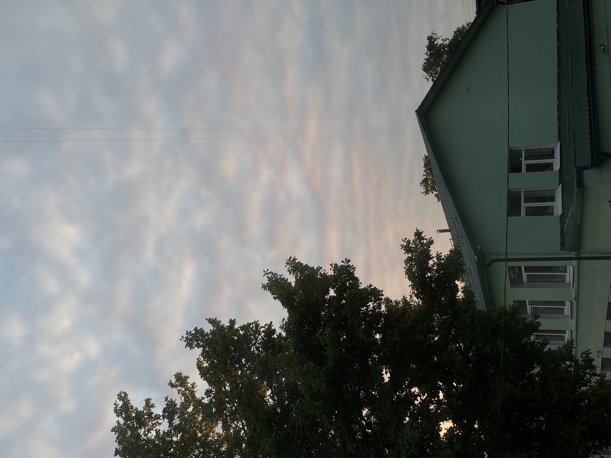 The image, viewed upright, depicts an outdoor scene featuring a building, trees, and a cloudy sky, set in Saint Petersburg, Russia. The sky occupies a significant portion of the frame, filled with scattered, soft grey and white clouds. Subtle hints of pale pink and orange are visible within the clouds, suggesting either the soft light of sunrise or sunset. Two thin, dark horizontal wires stretch across the middle-upper section of the sky.
On the right side of the image, a light green building with a dark-tiled roof is partially visible. It features multiple white-framed windows. The building's architecture appears functional and unadorned, typical of residential or administrative structures.
The lower part of the image is dominated by the dense, dark green foliage of several large trees. These trees are somewhat silhouetted against the sky, reinforcing the perception of low light conditions characteristic of early morning or late evening. The tree canopy extends from the lower-right, partially obscuring the building, across the bottom, and into the lower-left corner of the frame.
No people are visible, and no specific activities are taking place. There is no discernible text within the image. The scene conveys a quiet, observational view of an urban or suburban environment at a transitional time of day.