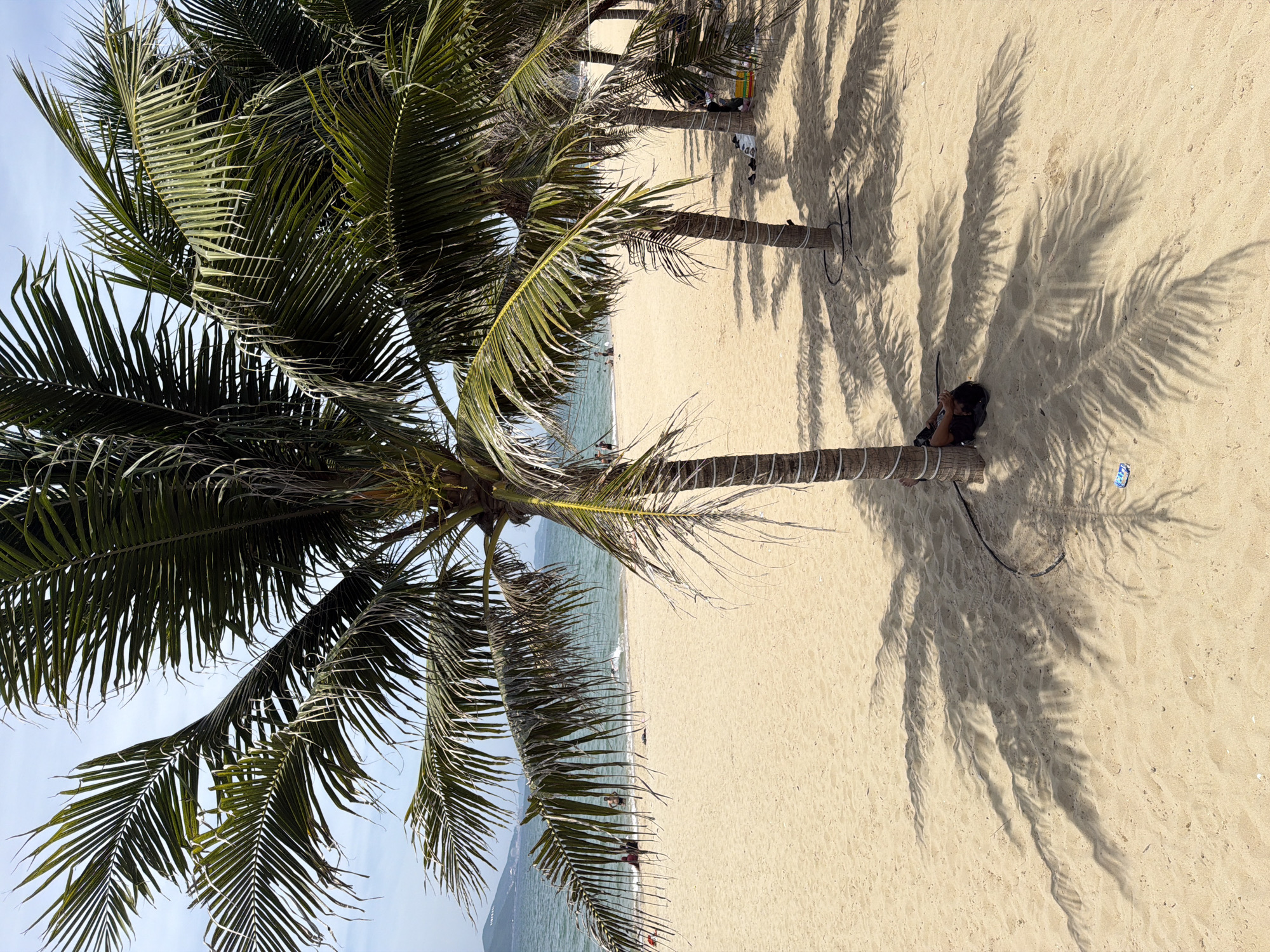 The image depicts a sunny day at a sandy beach in Nha Trang Ward, Vietnam. In the foreground, the trunk and fronds of a palm tree are visible, casting a distinct shadow on the sand. Further back, more palm trees line the beach, also casting shadows. The ocean stretches out in the background, with gentle waves reaching the shore. Several individuals are present on the beach and in the water, some sitting, others wading. One person is lying down in the shade of a palm tree, near its trunk. The sand is light brown and appears smooth, with some scattered debris visible in the foreground and midground. The sky is bright and mostly clear, with a hint of clouds.