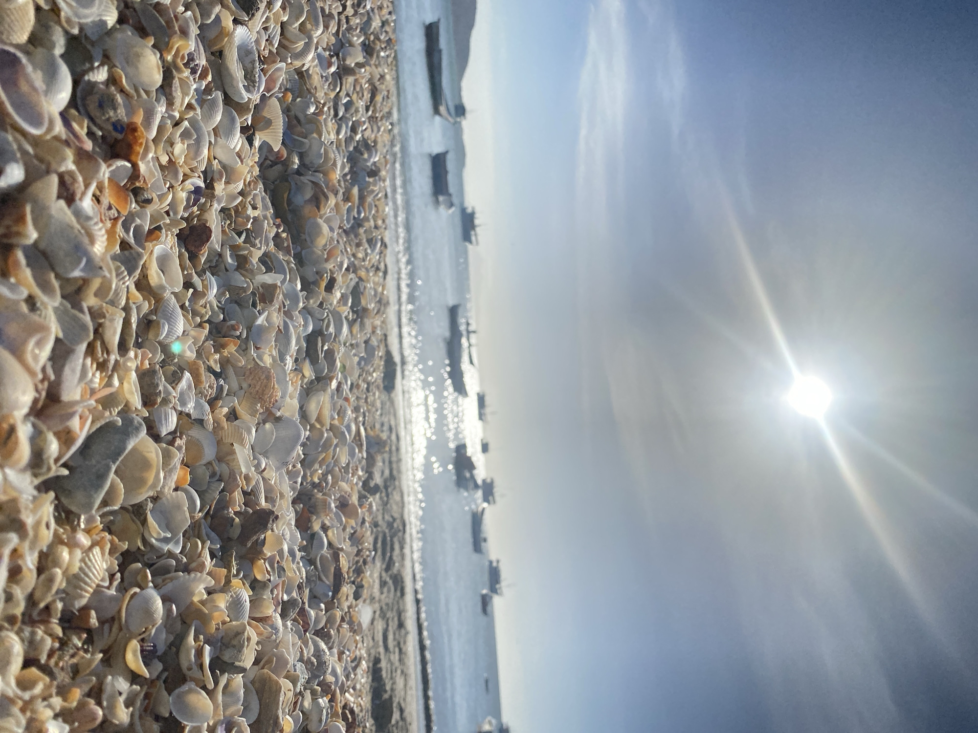 The image presents a sunlit coastal scene located in Juan Griego, Venezuela. The foreground is dominated by a dense accumulation of countless seashells, primarily bivalve and gastropod varieties, exhibiting colors ranging from white and beige to light brown and grey, captured from a low-angle perspective. The midground features calm, light blue ocean water with numerous bright glints reflecting direct sunlight. Approximately ten small boats, appearing as dark silhouettes, are anchored or floating across the water's surface. The background consists of a clear, bright blue sky, with the sun prominently positioned in the upper right quadrant, emitting strong rays and a visible lens flare. A low-lying landmass or hill is discernible on the far left horizon. No individuals or specific actions are depicted.