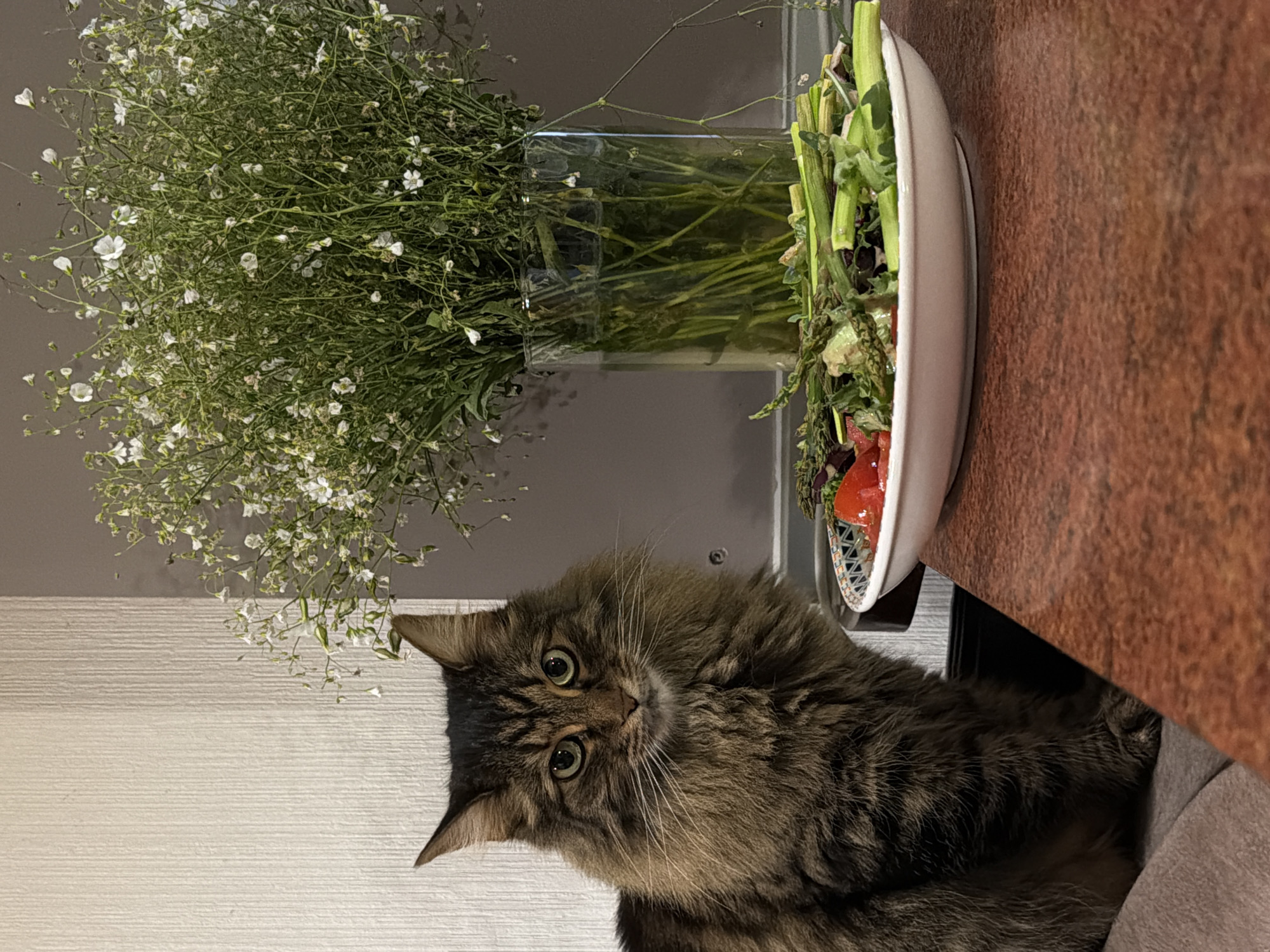 A fluffy brown tabby cat with green eyes sits to the left of the frame, facing the camera. In front of the cat is a white bowl filled with asparagus, tomatoes, and greens. Behind the bowl is a clear glass vase filled with water and a bouquet of delicate white flowers. The scene is set indoors, on a reddish-brown table. The background consists of a textured wall.