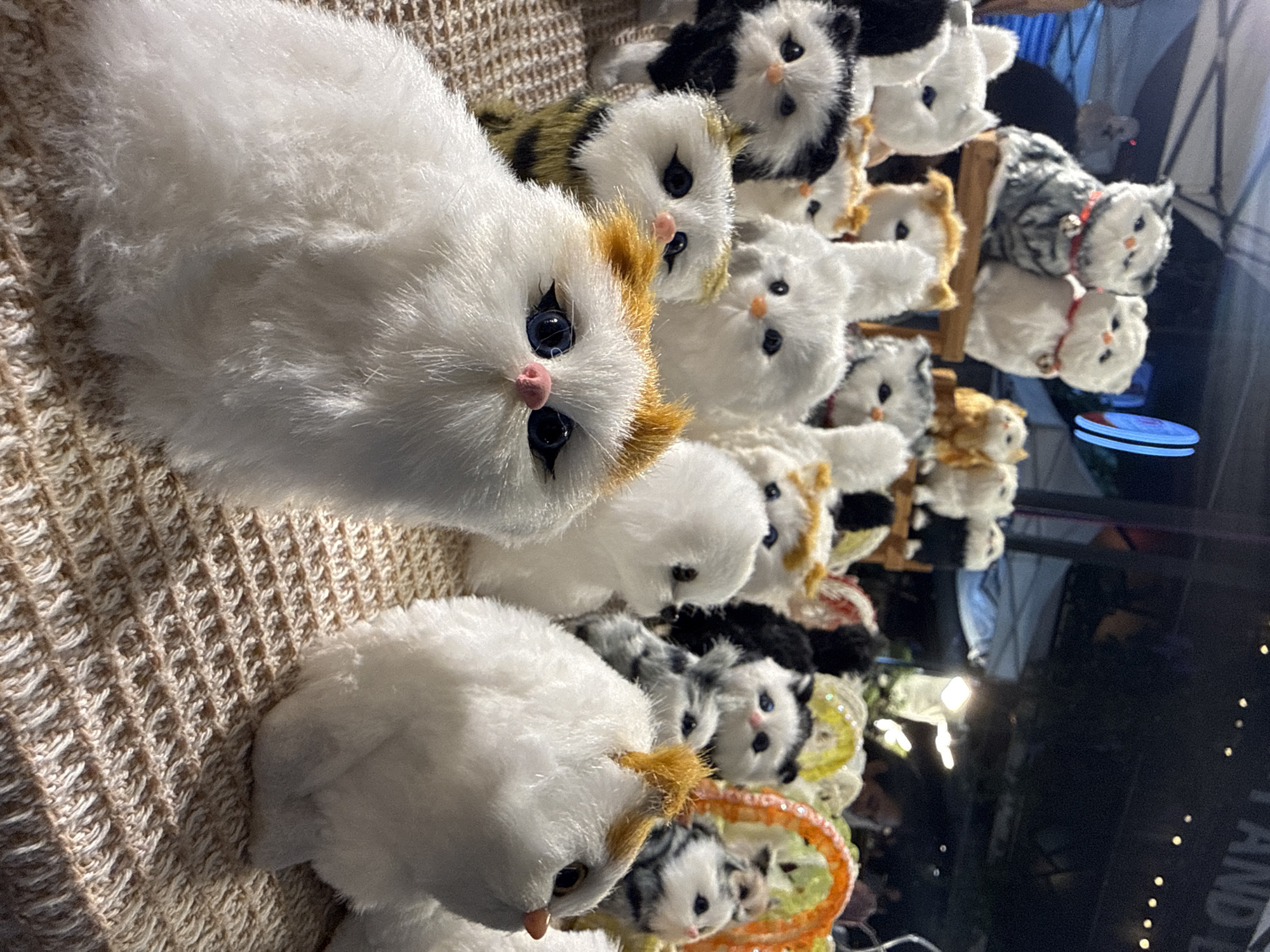 The image shows a collection of stuffed cat toys displayed on a textured surface, likely a market stall, in Choeng Thale, Thailand. The toys are varied in color and pattern, including white, grey, black and white tabby, and orange and white. Some have blue eyes, while others have black or red. Several of the toys are wearing small red or pink collars with bells. In the background, out-of-focus figures and market stalls are visible, suggesting an outdoor night market setting. The lighting appears artificial, casting shadows and highlighting the plush texture of the toys.