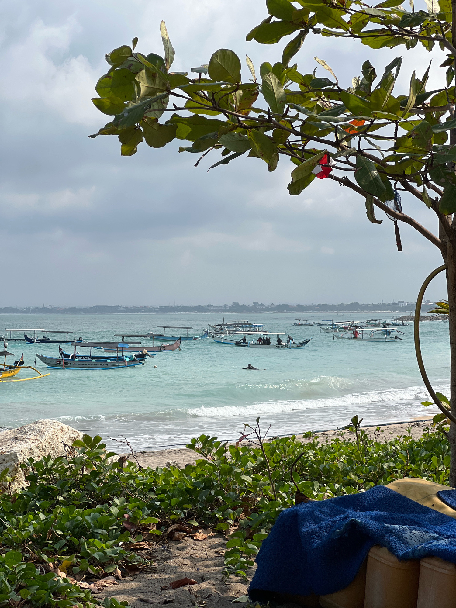 A serene, overcast day unfolds in Kuta, Indonesia, as a tranquil sea laps against a sandy shore. Numerous traditional Balinese fishing boats, with their distinctive outriggers and canopy roofs, are anchored in the shallow, turquoise waters. Some boats carry passengers, their figures small against the vastness of the ocean. In the middle distance, a lone swimmer navigates the gentle waves, their dark silhouette a stark contrast to the bright water. The foreground is dominated by lush green vegetation, its leafy branches reaching out towards the viewer, framing the scene. Partially visible in the lower right corner is a yellow object with a blue towel draped over it, suggesting a place for rest or relaxation. The distant coastline is visible as a hazy line, with hints of buildings and structures that mark the presence of the city. The sky is a soft gray, with diffused sunlight creating a gentle, diffused light across the entire scene.