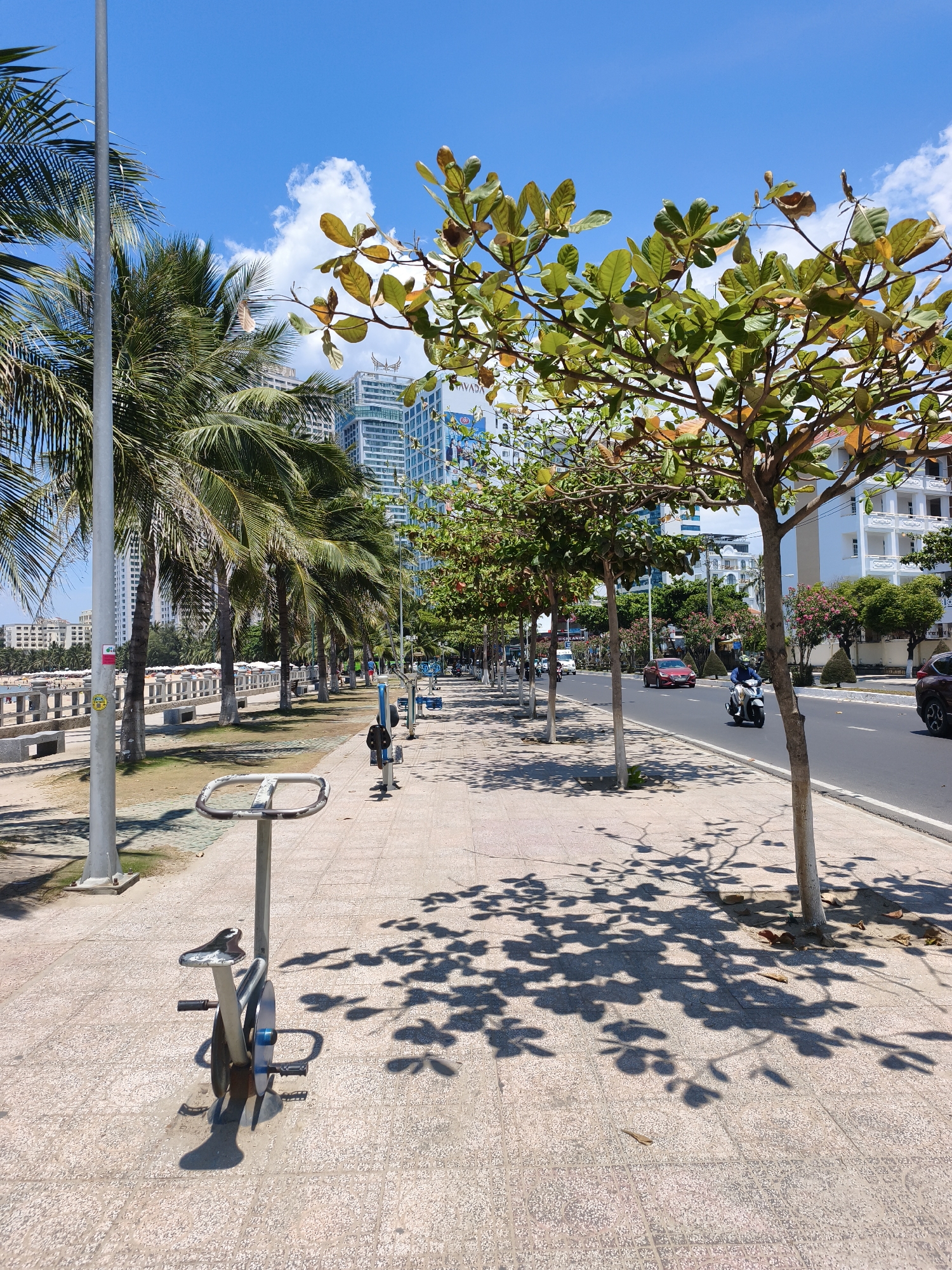 The image captures a sunny day in Nha Trang, Vietnam, likely along the coastal promenade. In the foreground, an outdoor exercise bicycle stands on a paved walkway. Palm trees line the path, casting dappled shadows on the ground, and beyond them, a beach with numerous sun loungers and umbrellas is visible. In the background, modern high-rise buildings rise against a clear blue sky with scattered white clouds. A road runs parallel to the walkway, with several vehicles, including cars and a motorcycle, in motion. The overall scene depicts a vibrant urban coastal environment with recreational facilities and infrastructure.