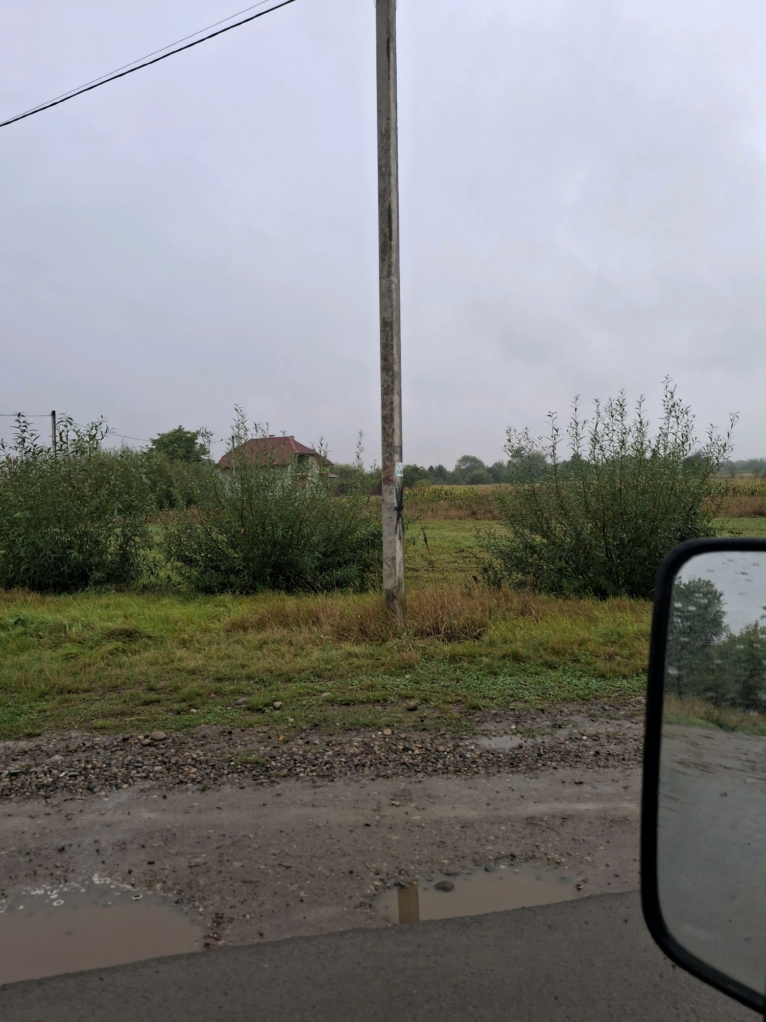 The image captures a rural scene in the city of Pidmykhailia, Ukraine, on an overcast day. In the foreground, a wet, gravelly road with puddles suggests recent rain. A utility pole stands vertically, slightly off-center to the right. To the left and center, dense green bushes and tall grass line the roadside, with a glimpse of a house with a red roof visible behind the foliage in the distance. The background consists of a field, possibly agricultural, under a pale, cloudy sky. A side-view mirror of a vehicle is visible on the right side of the frame, reflecting trees. There are no people or animals present in the image.