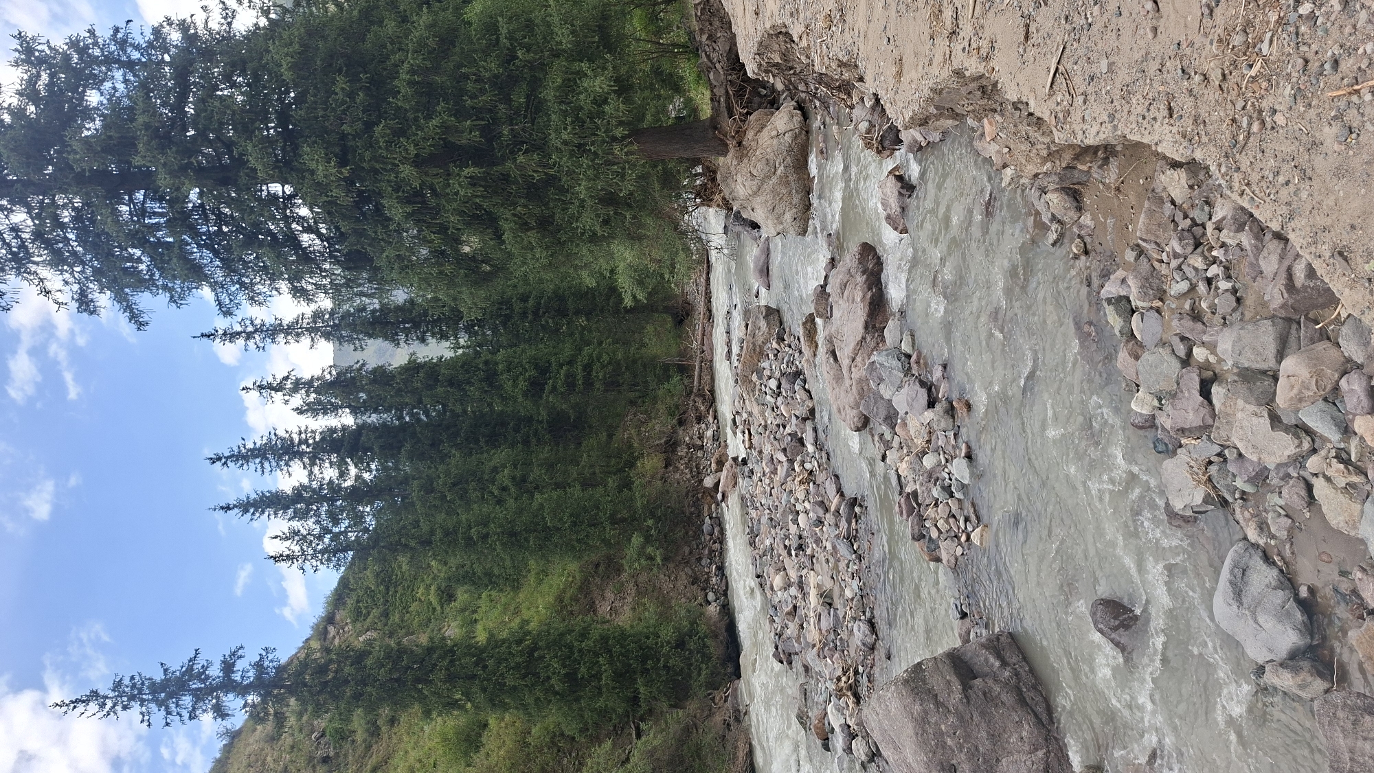 The image depicts a natural scene along a riverbank in what is described as the city of Batan, Kazakhstan. A fast-flowing, murky river dominates the foreground, with numerous rocks and stones scattered in and along its course. The river is bordered by a steep, vegetated slope on the left, lined with tall evergreen trees. On the right bank, the terrain appears eroded and sandy, with more rocks and tree debris. The background features a dense forest of evergreen trees, suggesting a mountainous or hilly region. The sky above is partly cloudy with blue patches. There are no people or man-made structures visible in the image, indicating a wilderness setting.